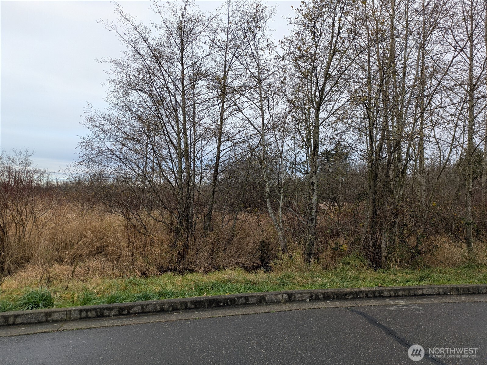 0 2nd Avenue Ferndale, WA 98248 - Photo 2 of 4 a view of a yard