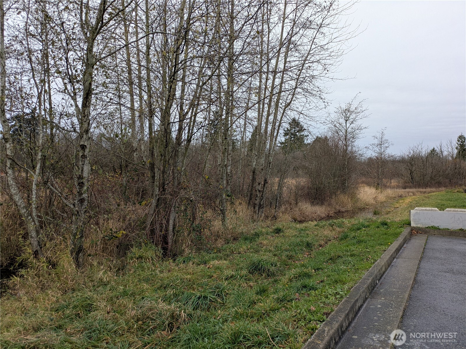 0 2nd Avenue Ferndale, WA 98248 - Photo 3 of 4 a big yard with lots of green space