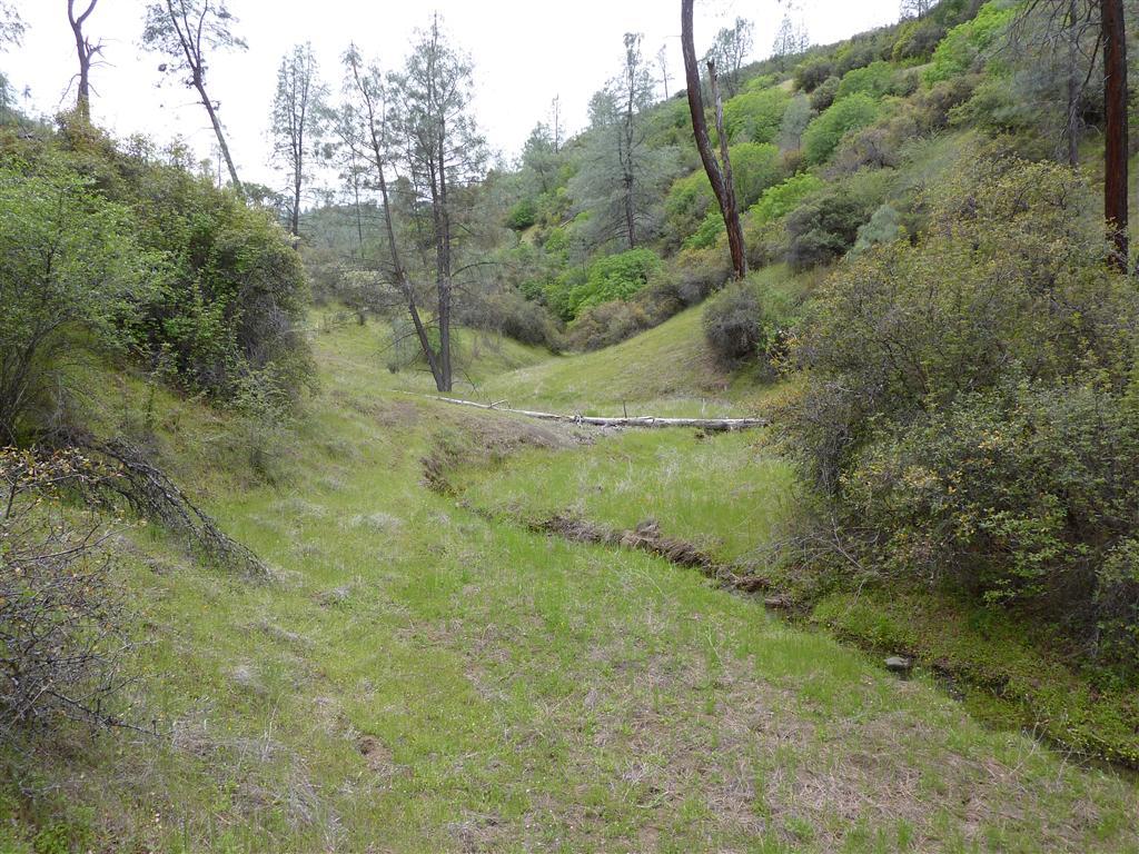 Lot 166 Yolla Bolly Road Igo, CA 96047 - Photo 8 of 23 a view of a forest with trees in the background