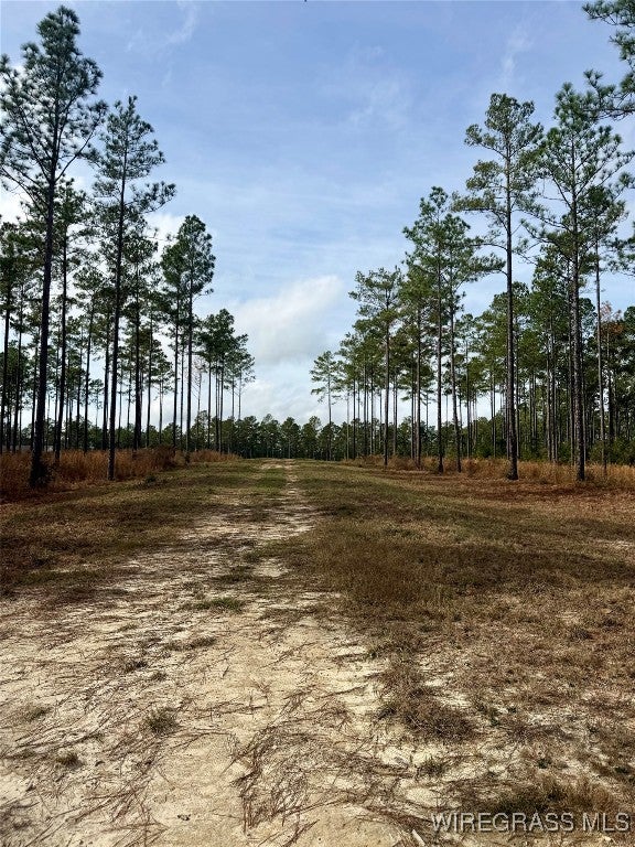 18755 Catherine Bailey Road Andalusia, AL 36420 - Photo 10 of 14 Gallery Image 10
