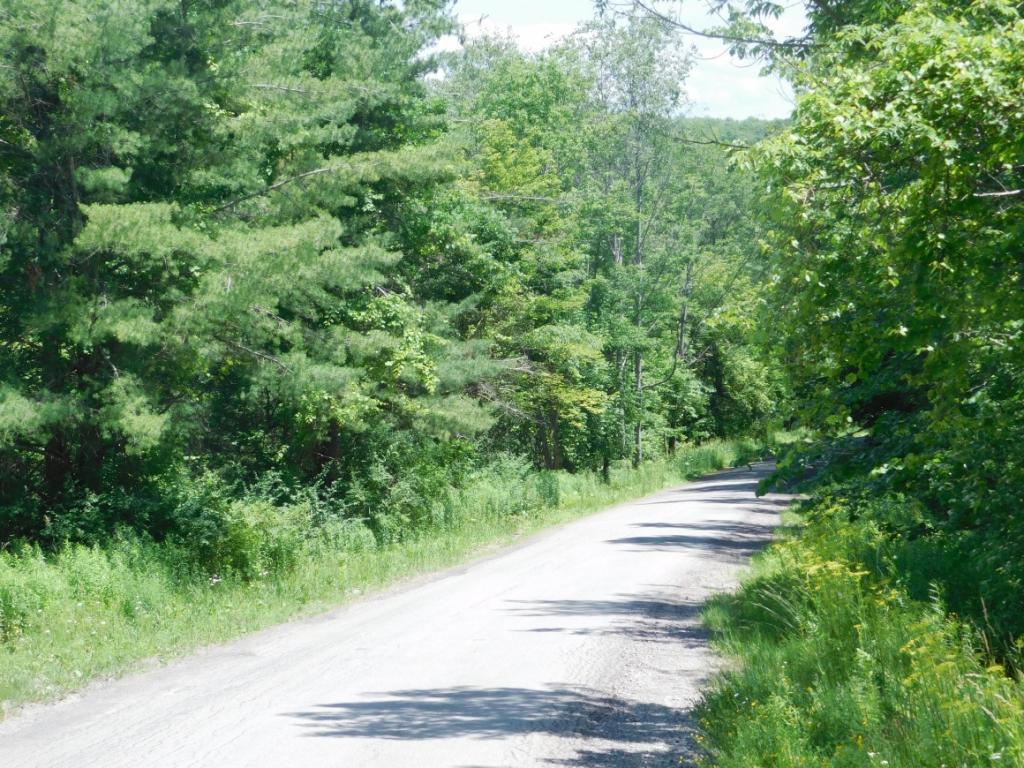 0 Whitmarsh Hollow Road Candor, NY 13827 - Photo 3 of 4 Gallery Image 3