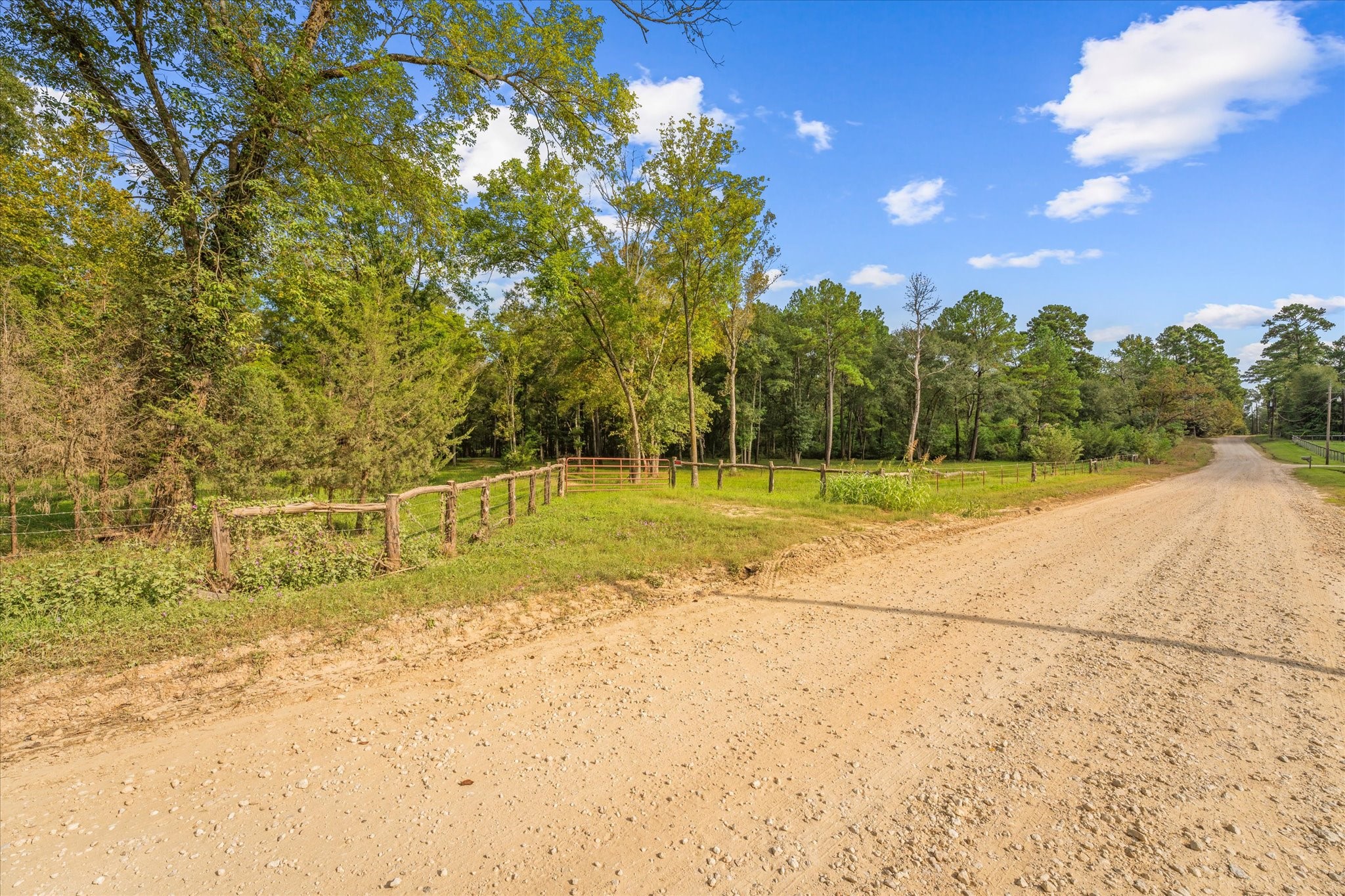43 Stewart Road New Waverly, TX 77358 - Photo 8 of 21 Property is on the left