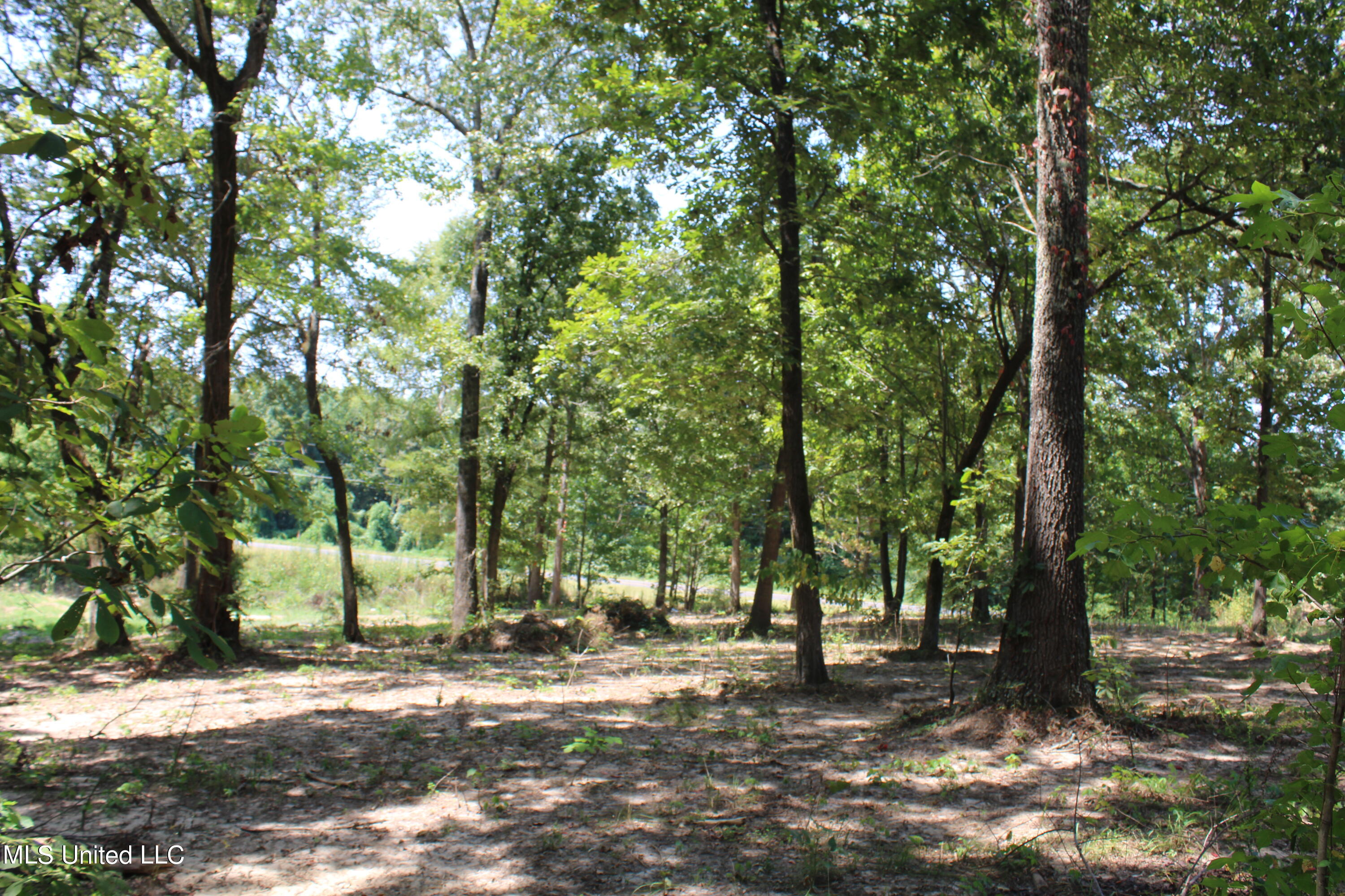 1199 Victoria Road Byhalia, MS 38611 - Photo 1 of 16 IMG_4457