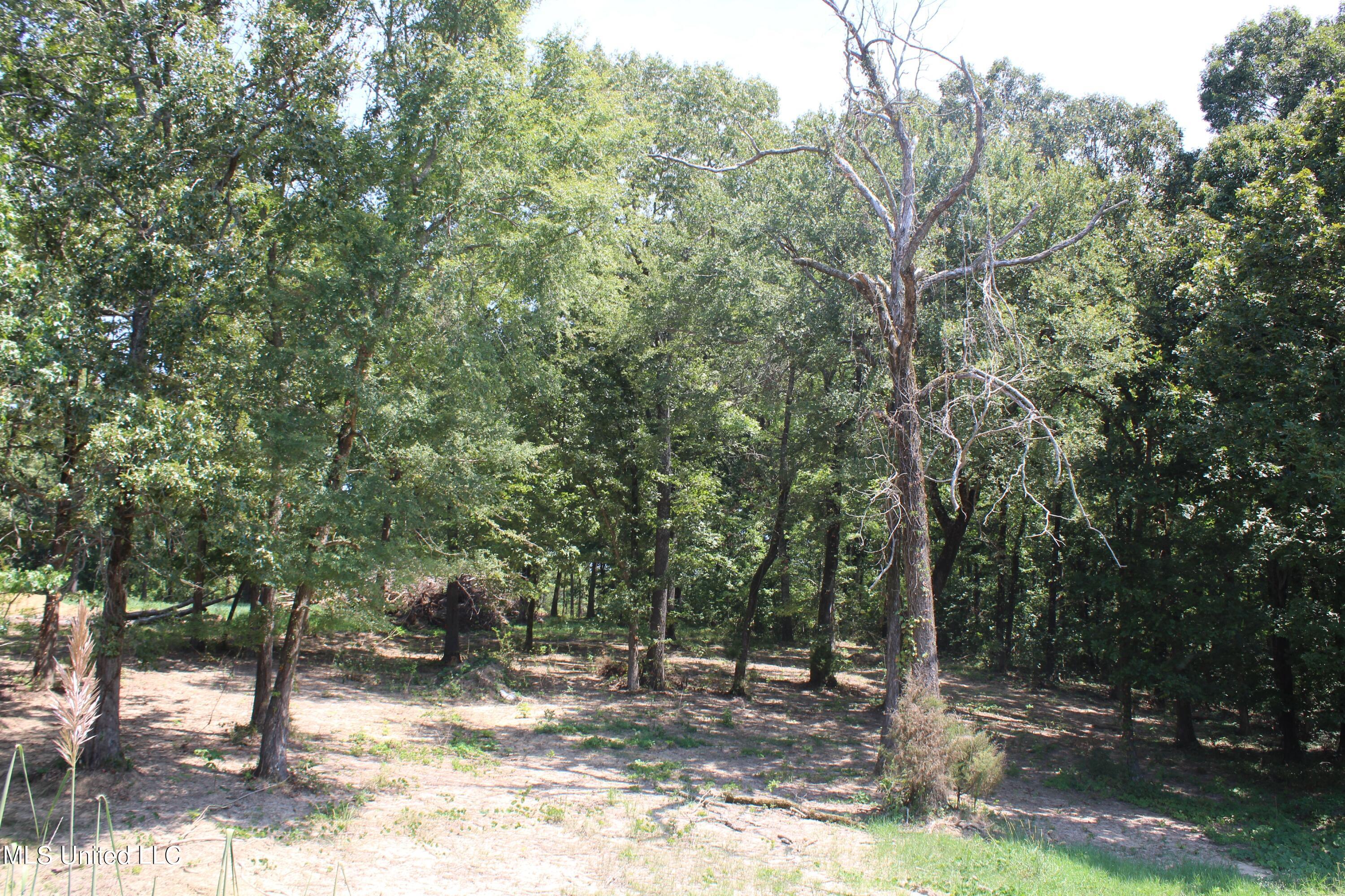 1199 Victoria Road Byhalia, MS 38611 - Photo 13 of 16 IMG_4451
