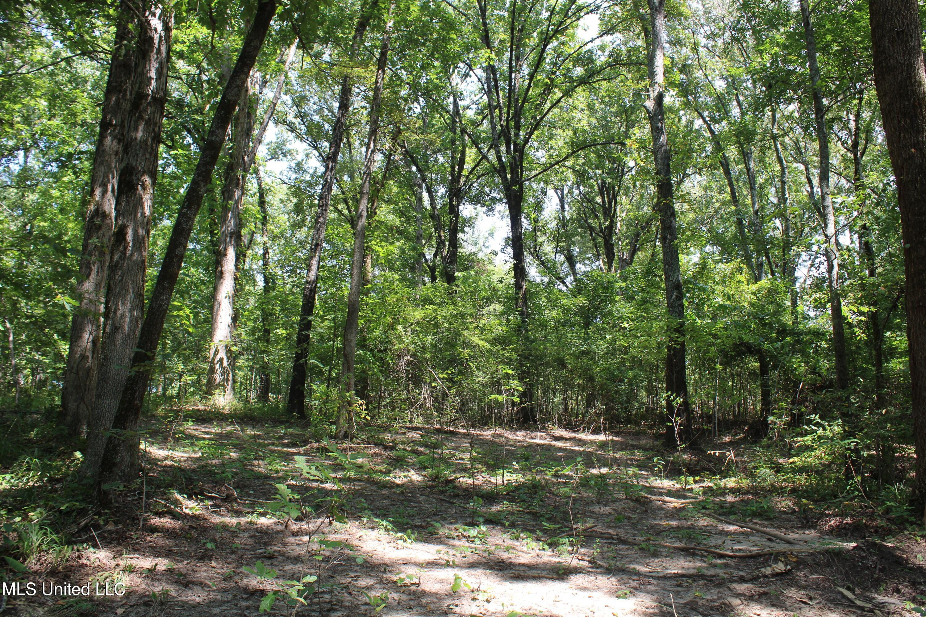 1199 Victoria Road Byhalia, MS 38611 - Photo 16 of 16 IMG_4463