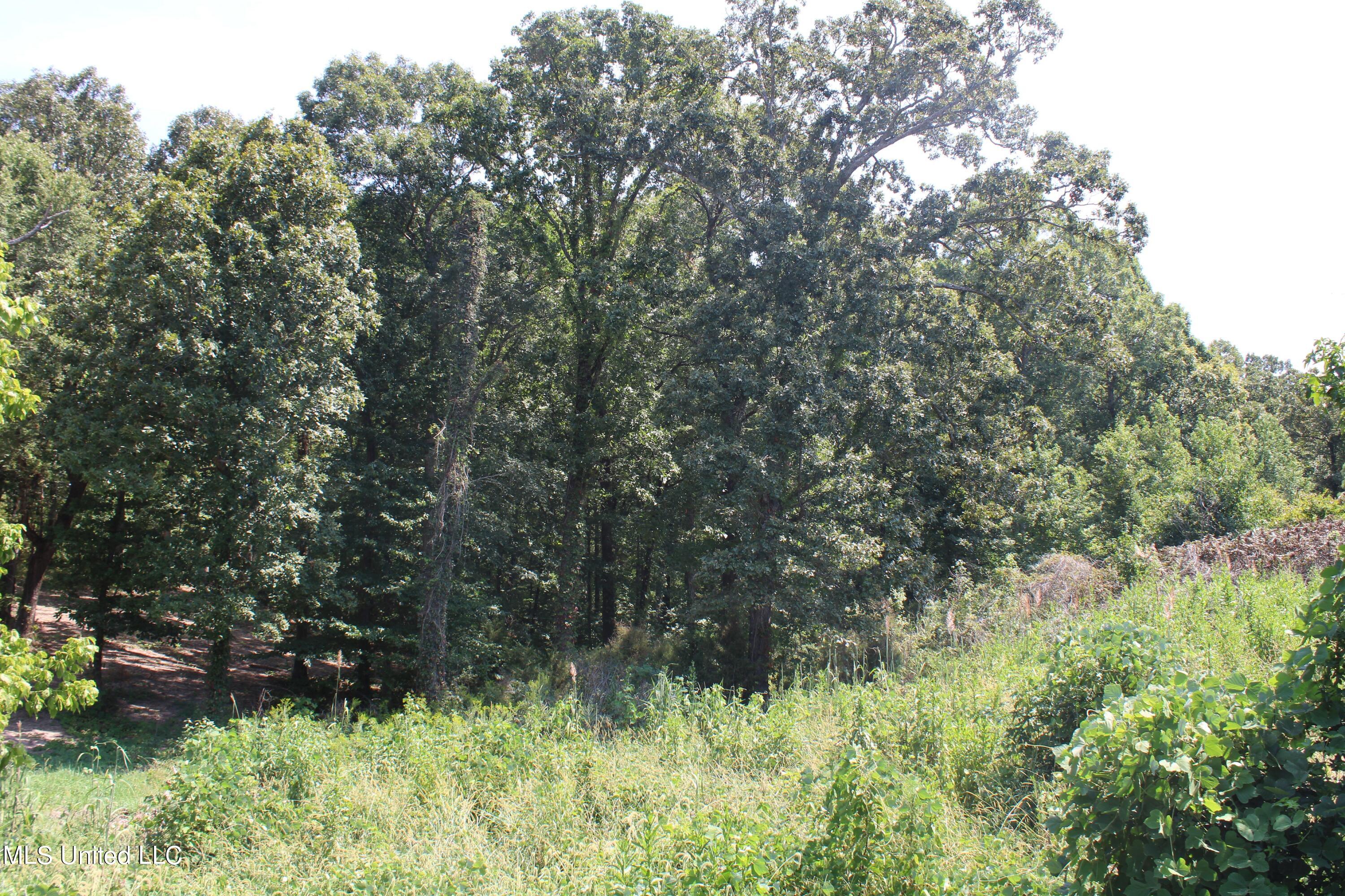 1199 Victoria Road Byhalia, MS 38611 - Photo 2 of 16 land
