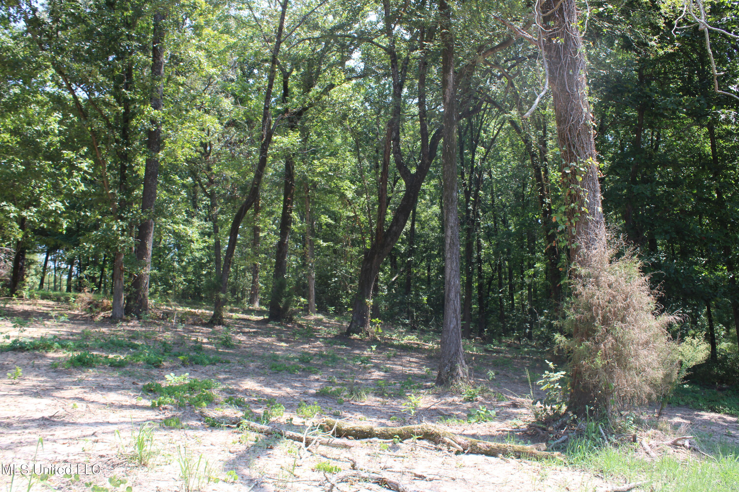 1199 Victoria Road Byhalia, MS 38611 - Photo 6 of 16 IMG_4455