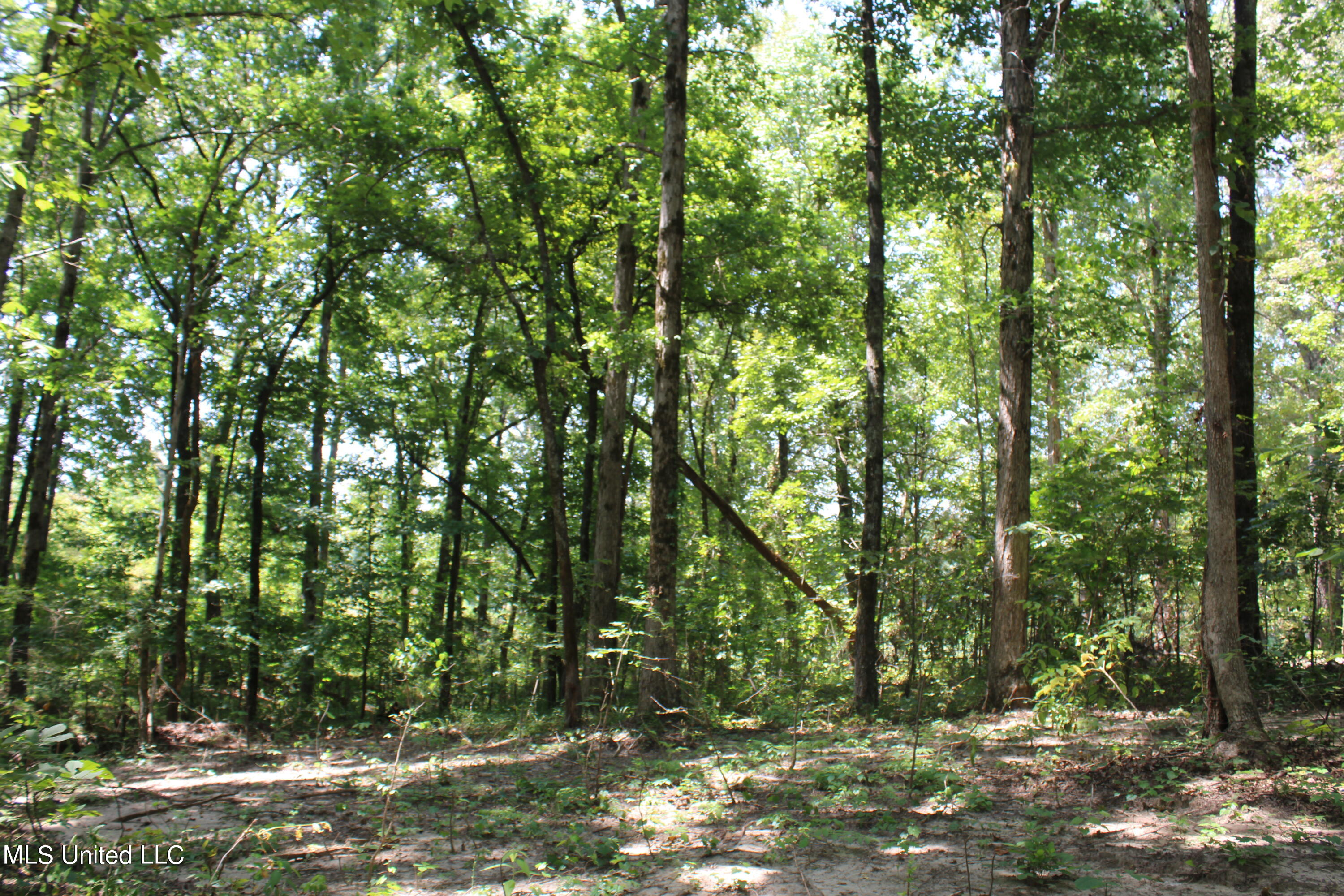 1199 Victoria Road Byhalia, MS 38611 - Photo 9 of 16 IMG_4460