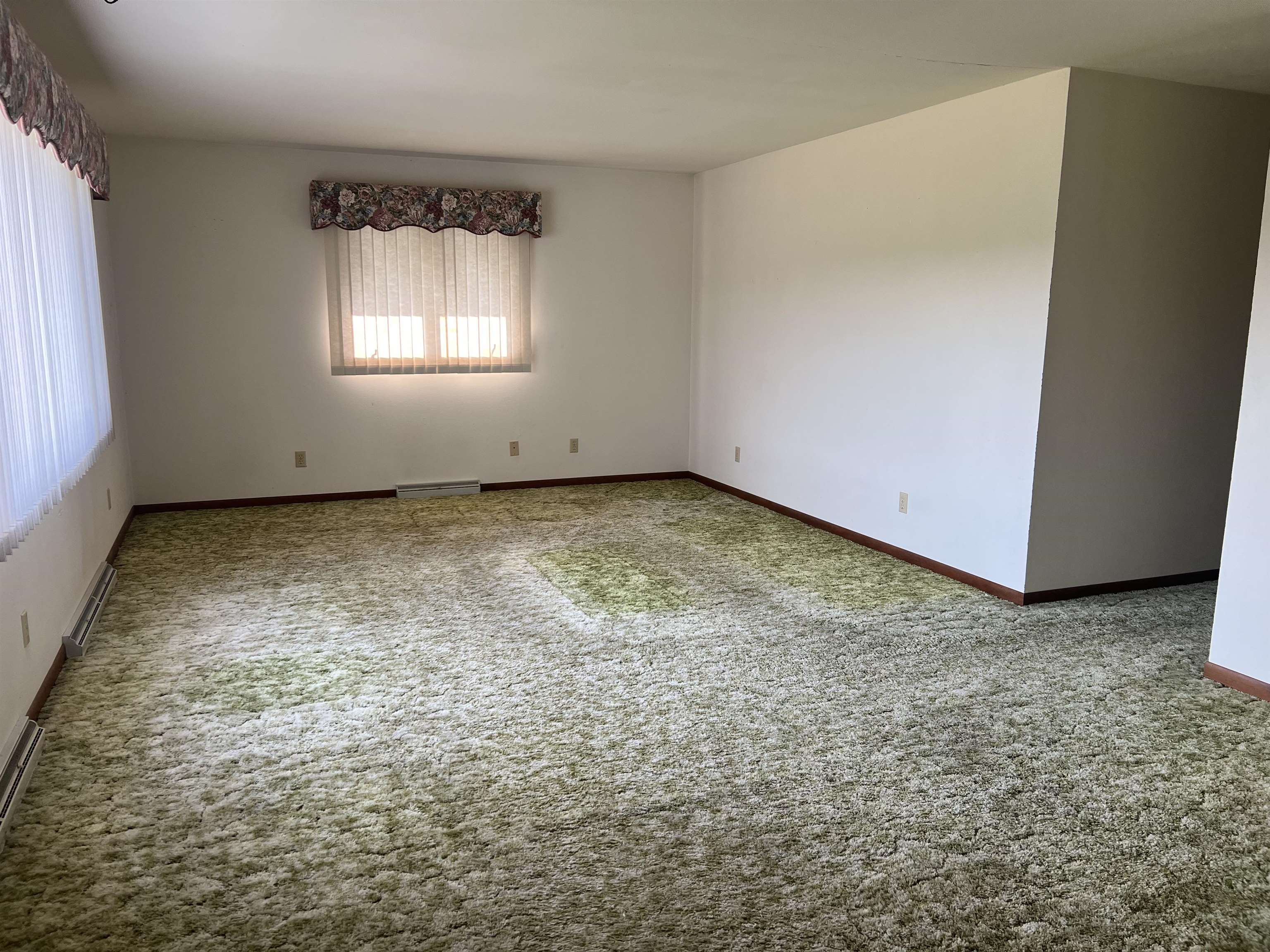 217 West Townline Road Lena, IL 61048 - Photo 4 of 21