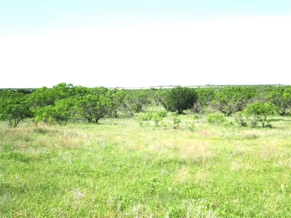 a view of a green field