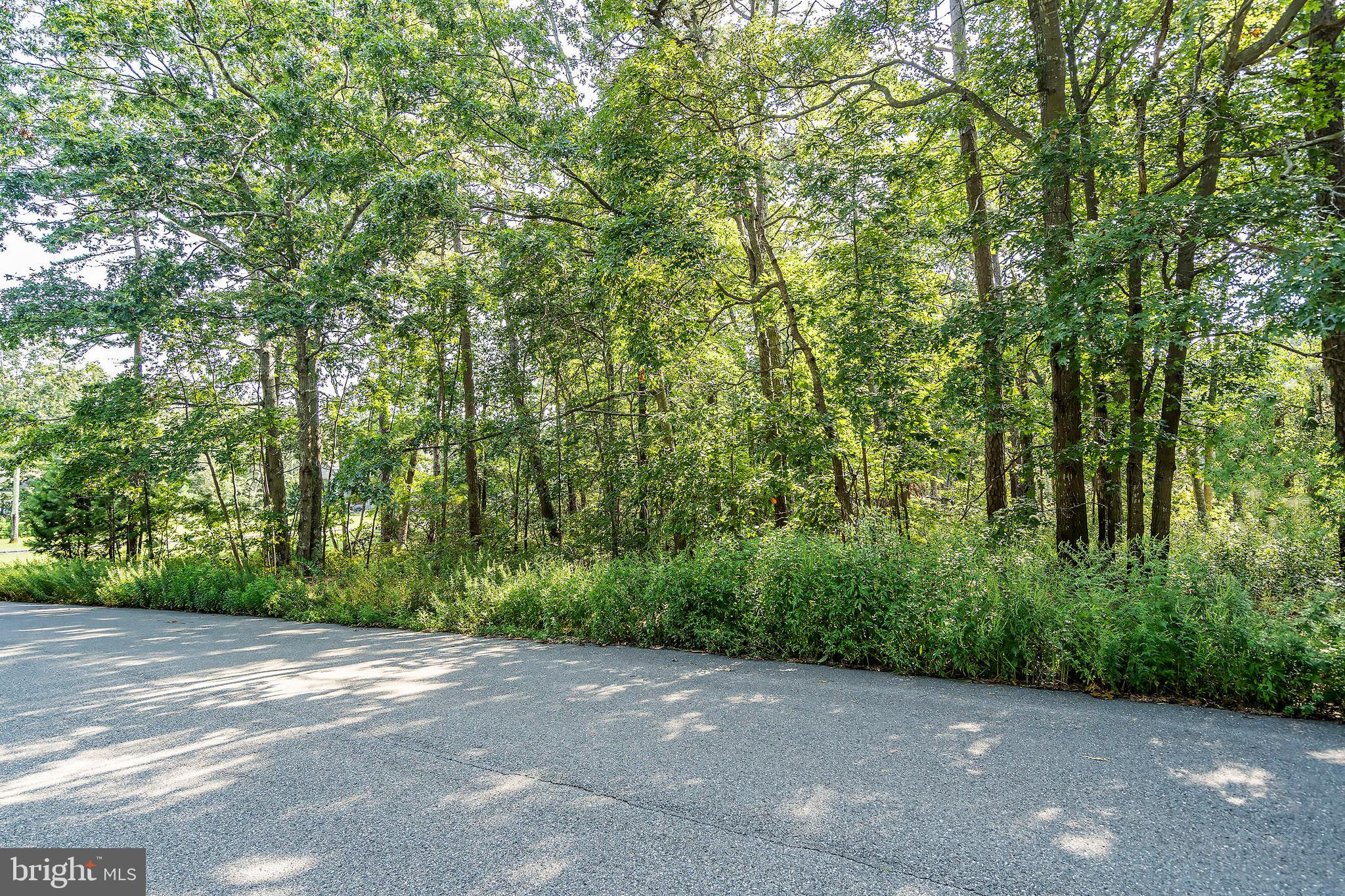 114 Mary Bell Road Manahawkin, NJ 08050 - Photo 8 of 9 Gallery Image 8