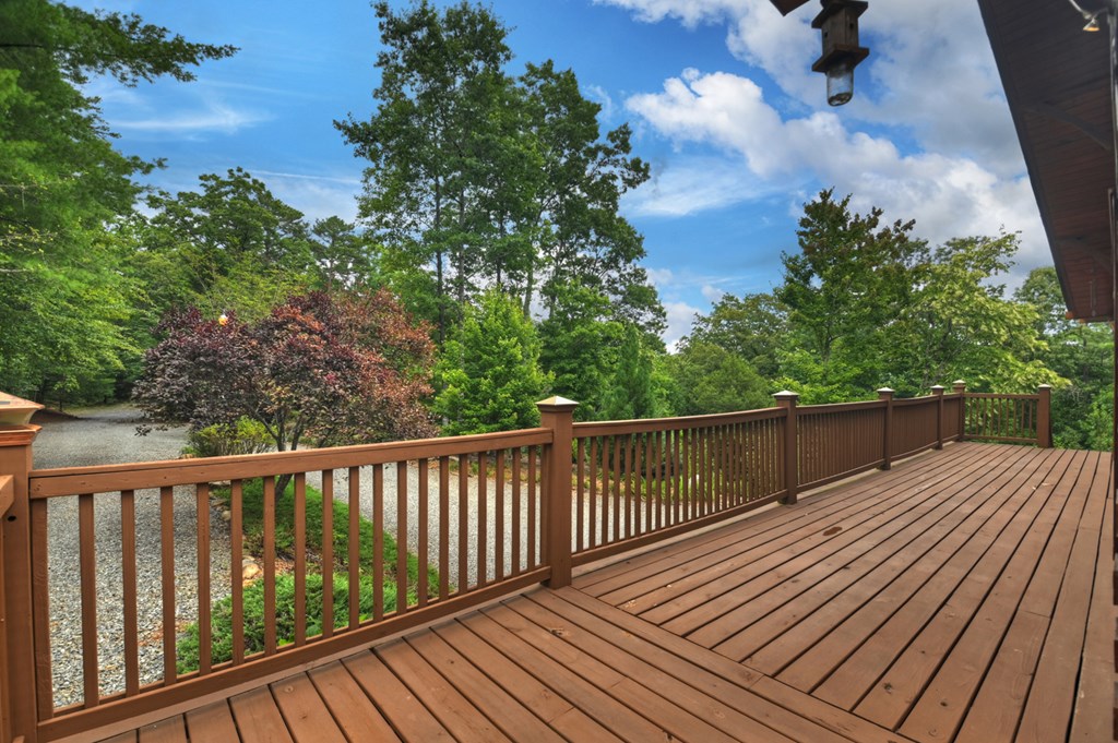 536 Delta Way Blue Ridge, GA 30513 - Photo 48 of 70