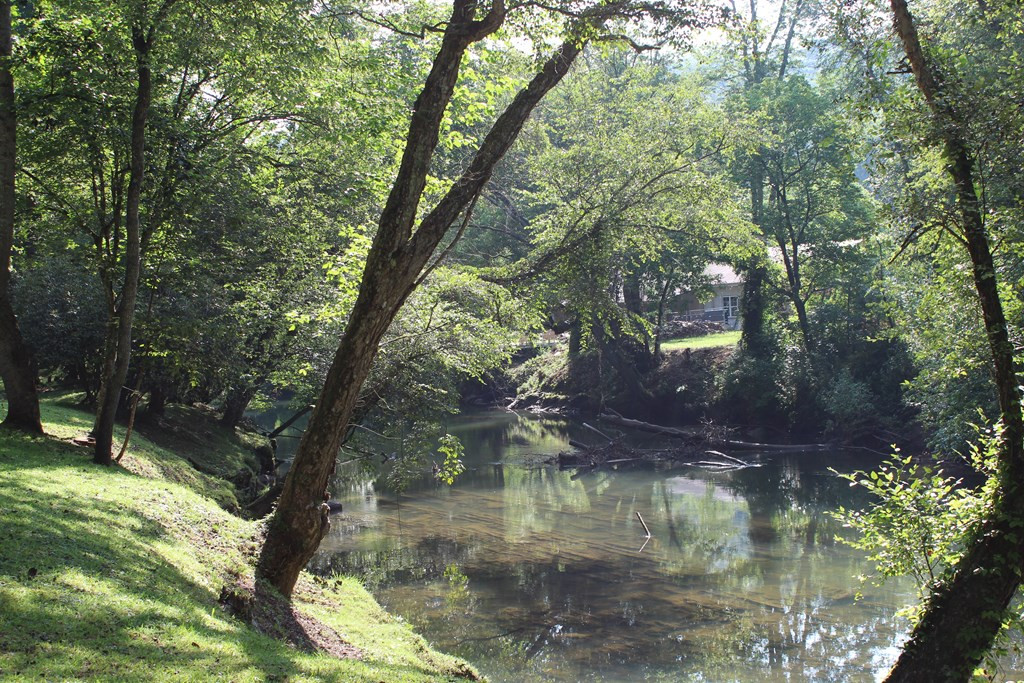 1345 Hilltop Road Murphy, NC 28906 - Photo 11 of 62