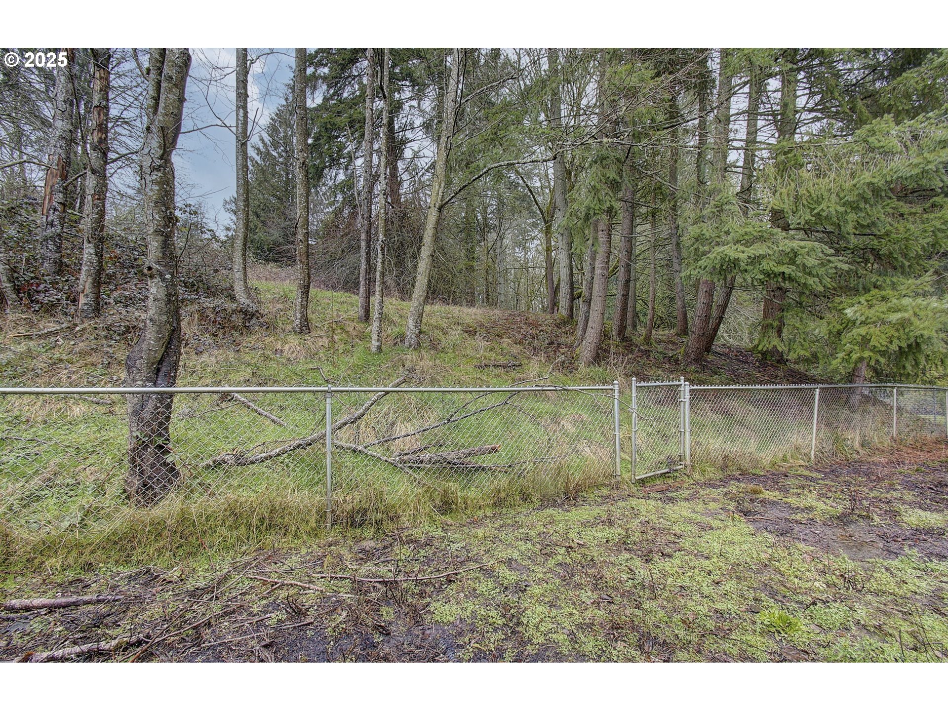 2756 Columbia Heights Road Longview, WA 98632 - Photo 26 of 38 Backyard