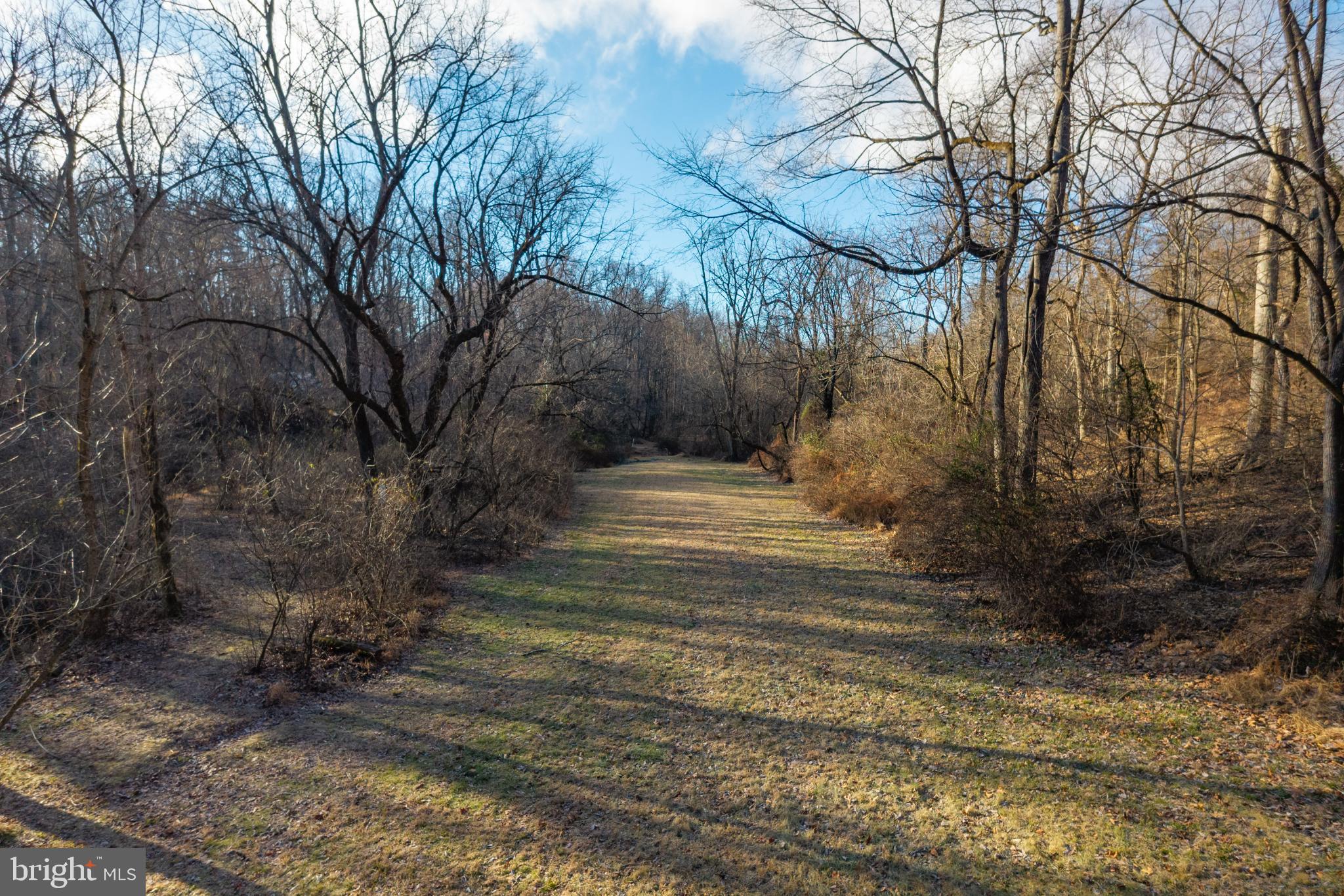 0 Sanatoga Road, Unit B Pottstown, PA 19464 - Photo 23 of 42 Serene woodland path under winter skies.