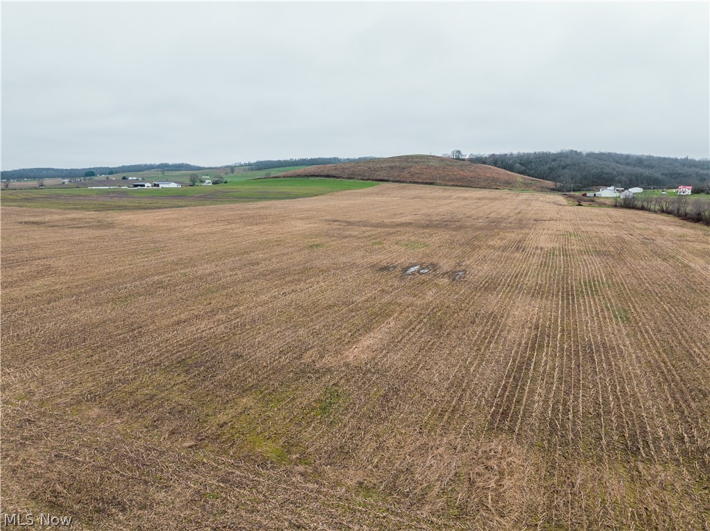 Licking Valley Road Frazeysburg, OH 43822 - Photo 6 of 6