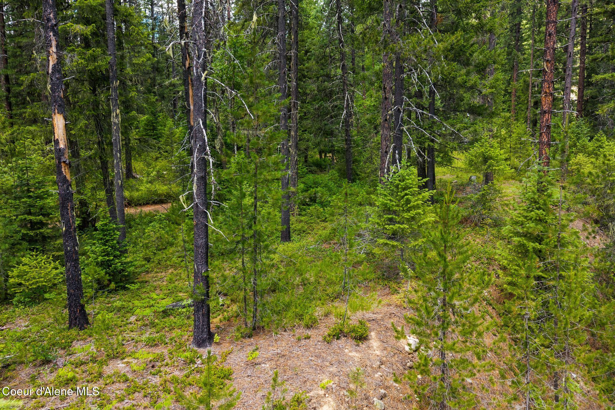 Nna Lantern Lane Sandpoint, ID 83864 - Photo 23 of 29 19_DJI_20260703034831_0860_D