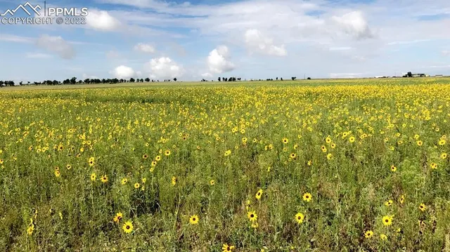 a view of building with ocean view