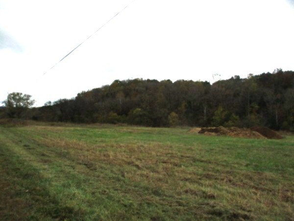 798 Red Tuttle Road Bethpage, TN 37022 - Photo 3 of 9 a view of a field with a tree in it