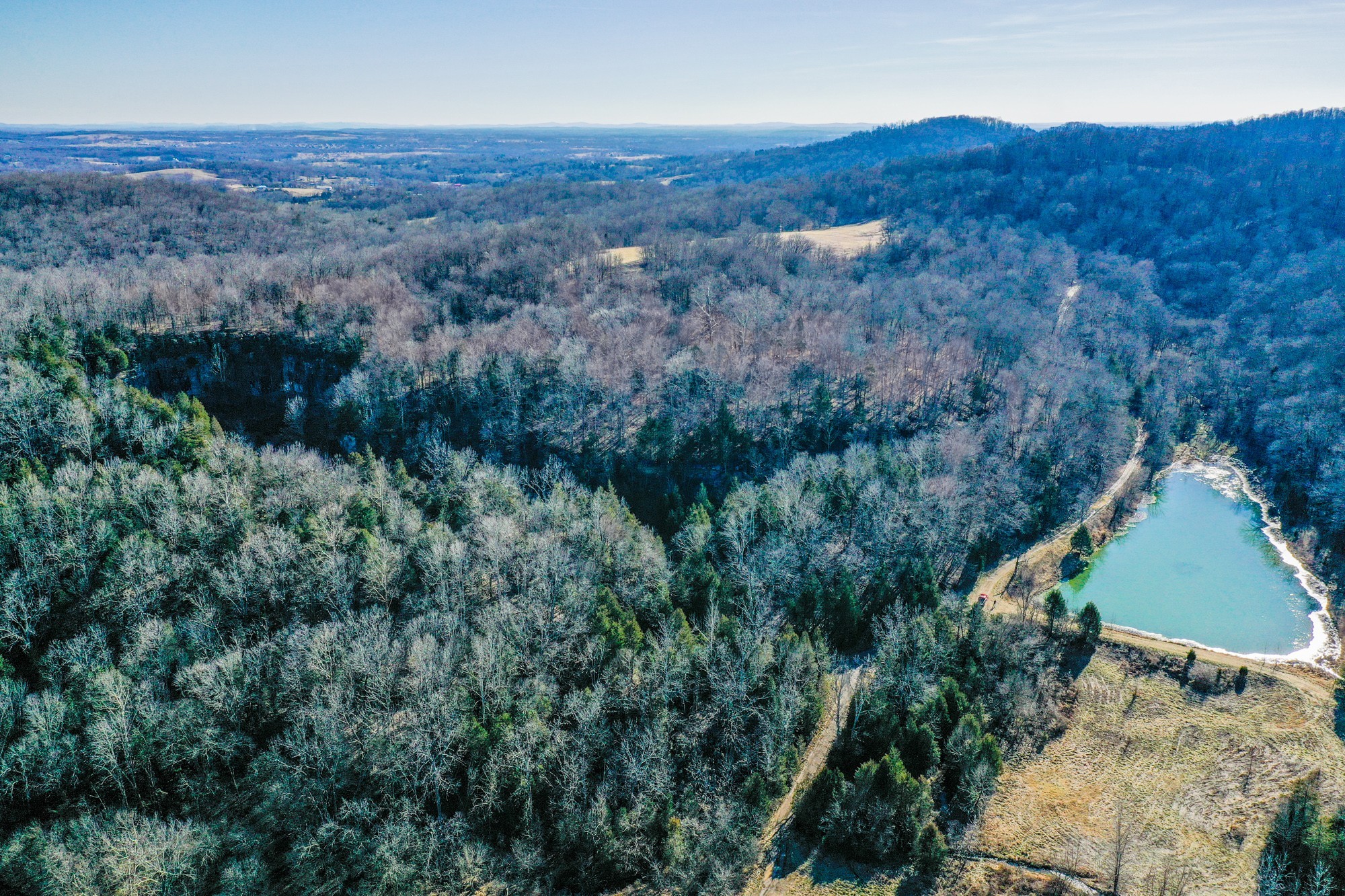 798 Red Tuttle Road Bethpage, TN 37022 - Photo 6 of 9 an aerial view of residential house and green space