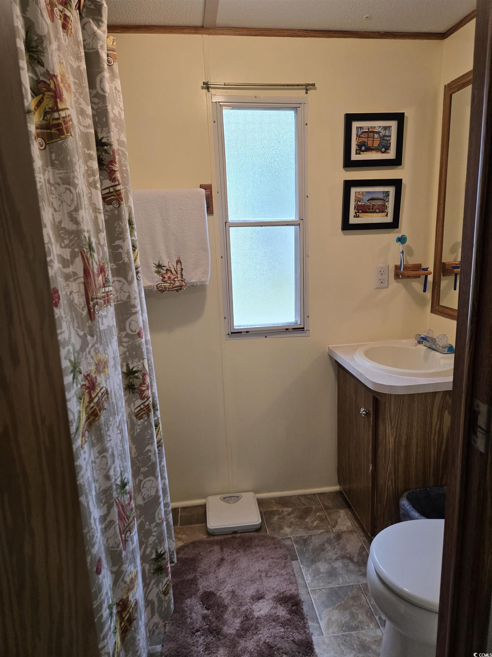 348 Bridge Street Murrells Inlet, SC 29576 - Photo 23 of 28 Full bath featuring vanity, toilet, and baseboards