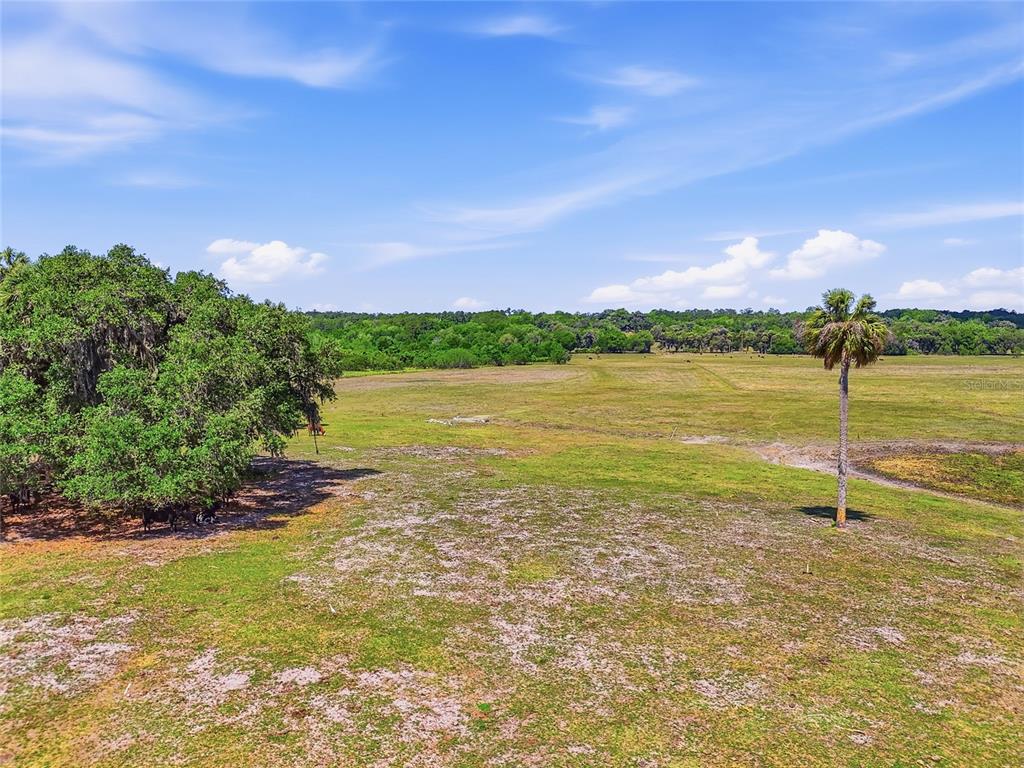 22130 Northwest 75th Avenue Road Micanopy, FL 32667 - Photo 37 of 52