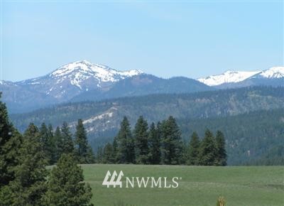 L3 Hidden Valley Road Cle Elum, WA 98922 - Photo 1 of 1 Gallery Image 1