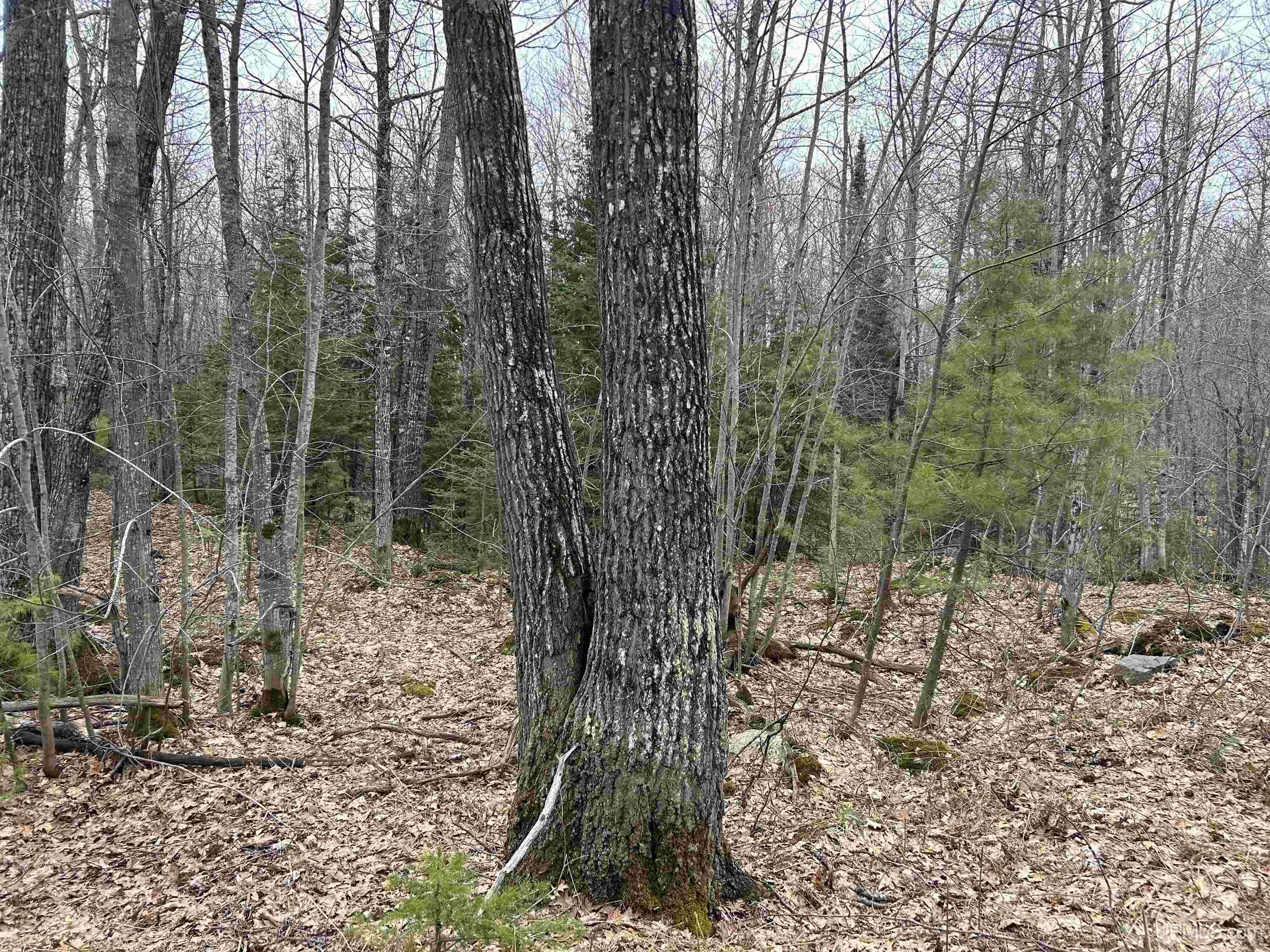 Near Krooks Road Negaunee, MI 49866 - Photo 2 of 15