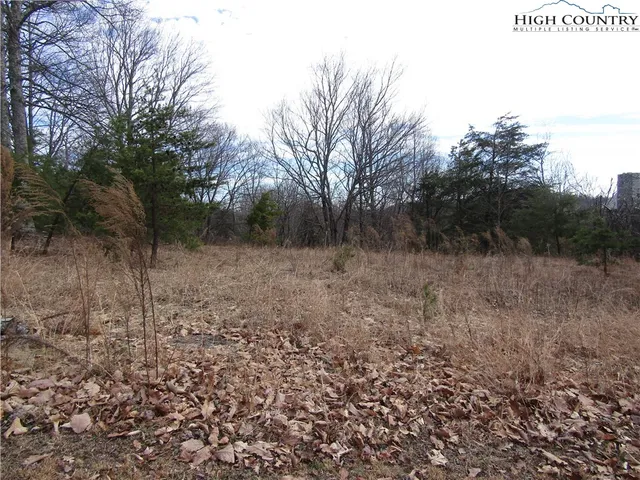 a view of a dry yard with trees