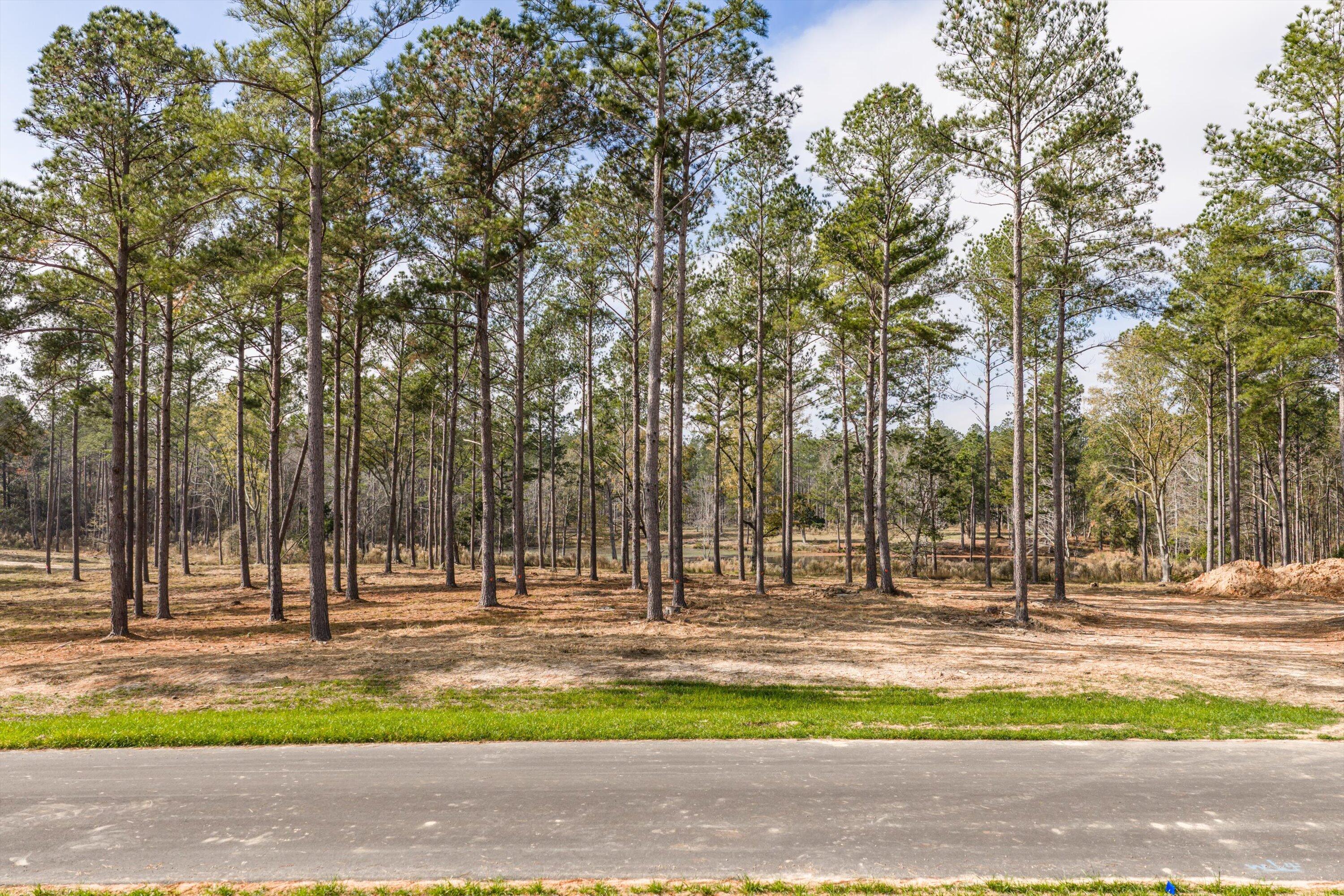 128 Beagle Chase Drive Appling, GA 30802 - Photo 3 of 7 13-Lot15_2