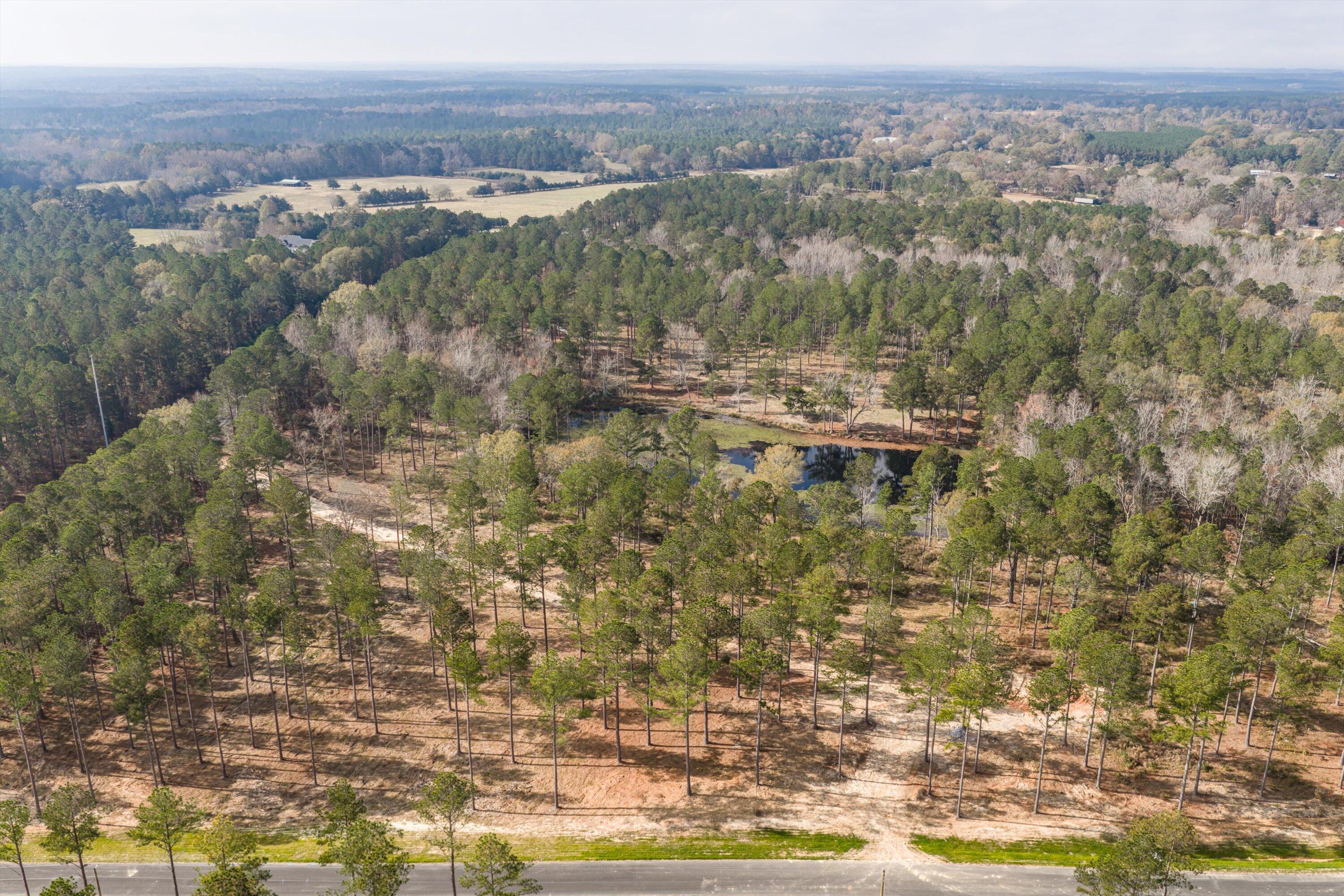 128 Beagle Chase Drive Appling, GA 30802 - Photo 4 of 7 15-Lot15_3
