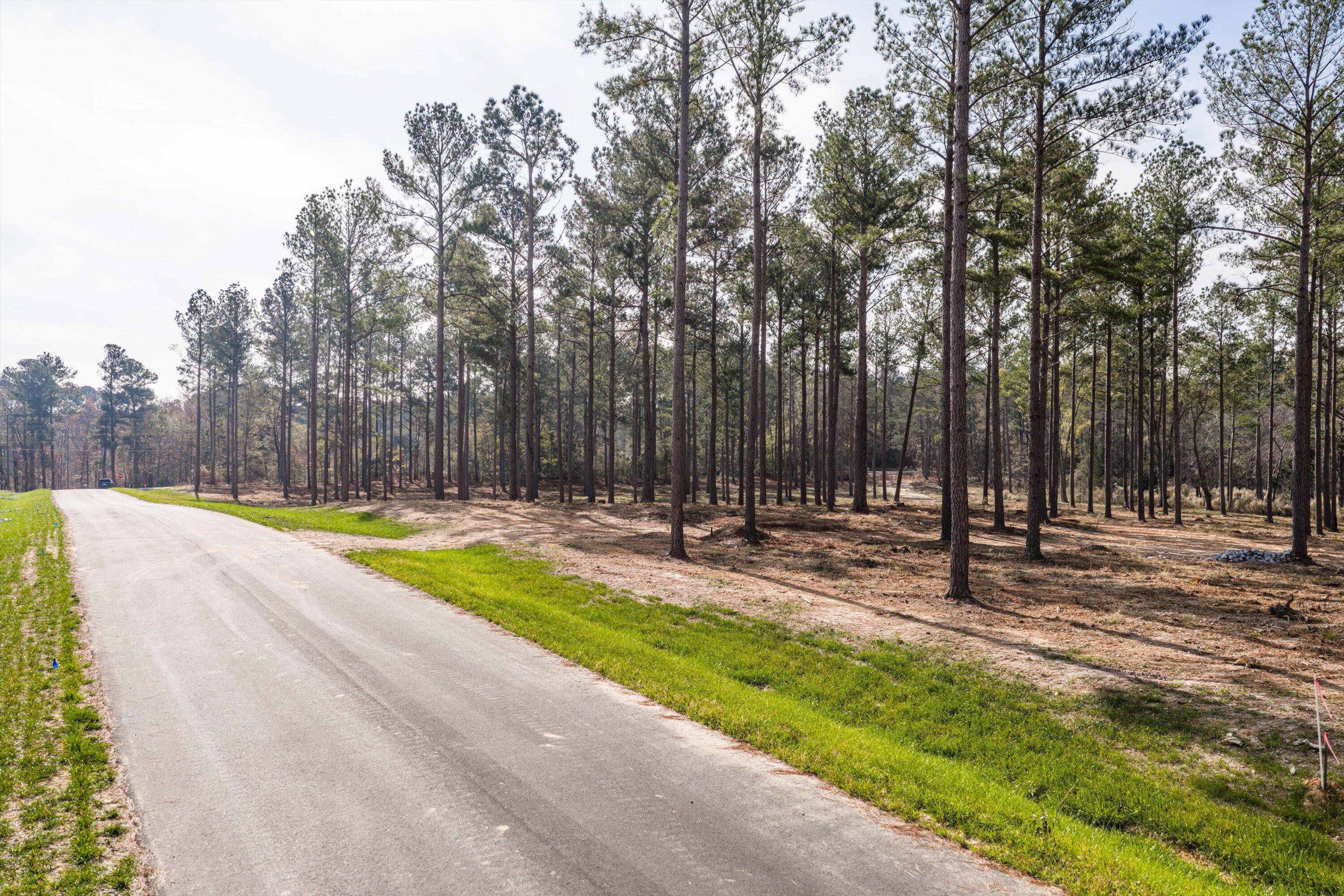 128 Beagle Chase Drive Appling, GA 30802 - Photo 5 of 7 16-Lot15