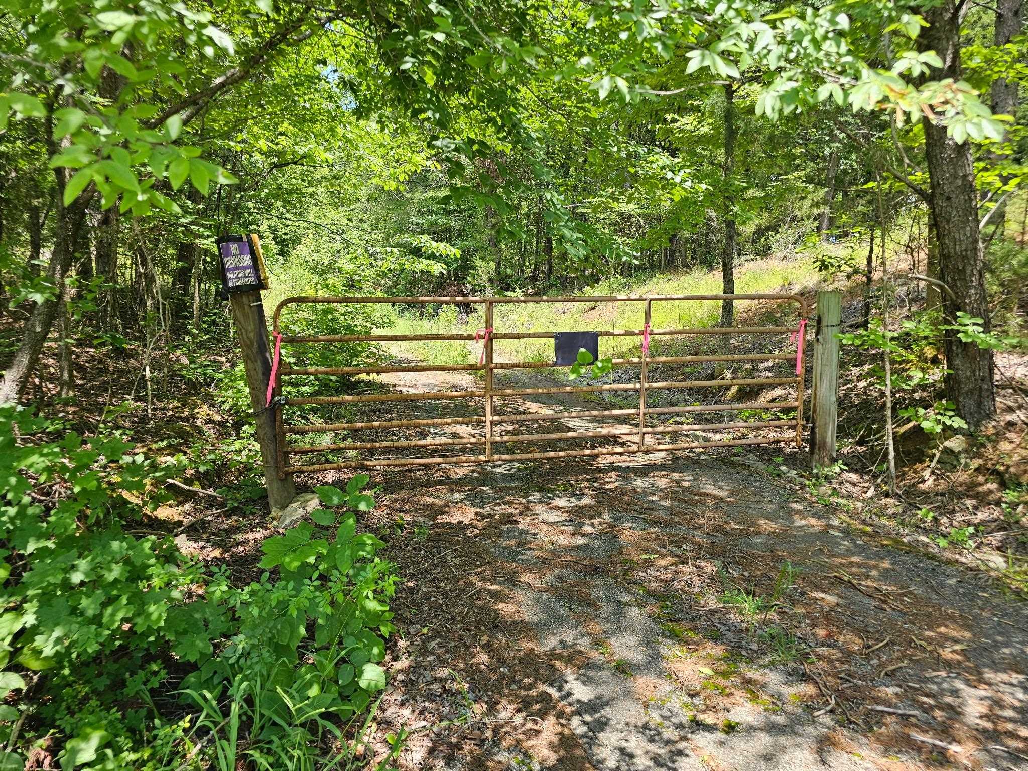 Old Ferry Road Bath Springs, TN 38311 - Photo 4 of 8
