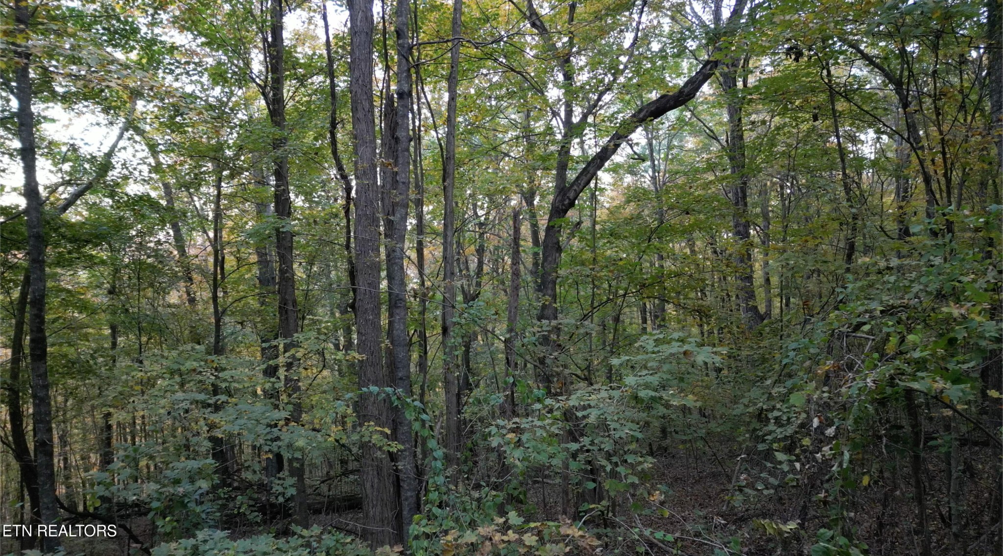 0 Turners Bend Road McMinnville, TN 37110 - Photo 14 of 15