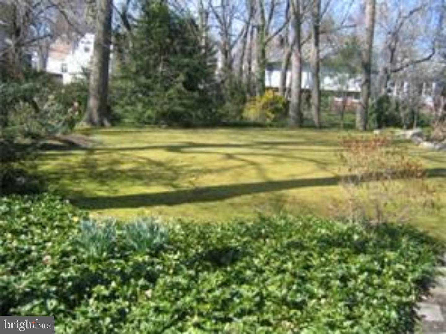 458 Elm Avenue Haddonfield, NJ 08033 - Photo 5 of 20