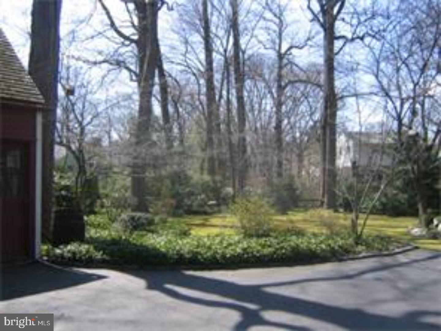 458 Elm Avenue Haddonfield, NJ 08033 - Photo 9 of 20