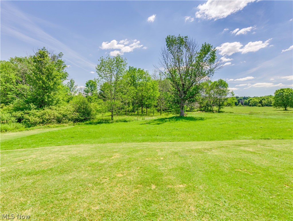 10063 Kile Road Chardon, OH 44024 - Photo 23 of 23