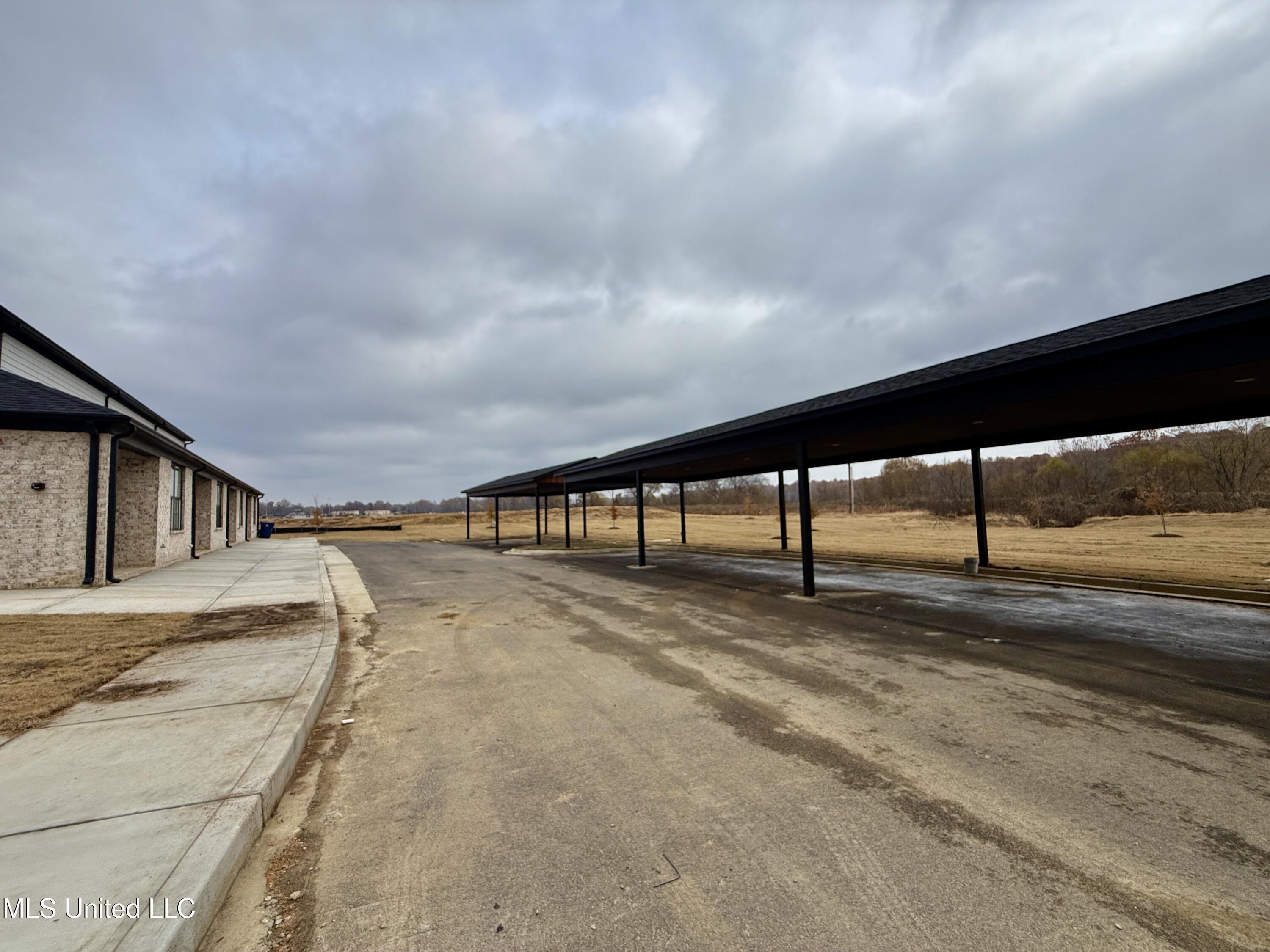 717 Bolivar Drive Nesbit, MS 38651 - Photo 29 of 30 Covered parking