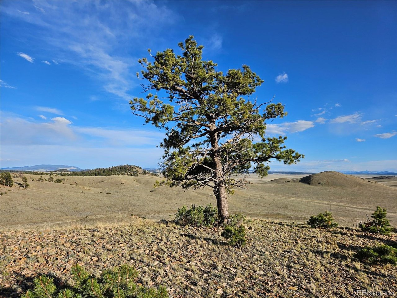 24142 Antero Road Hartsel, CO 80449 - Photo 6 of 48
