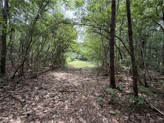 0 Thigpen Road Franklinton, LA 70438 - Photo 22 of 34