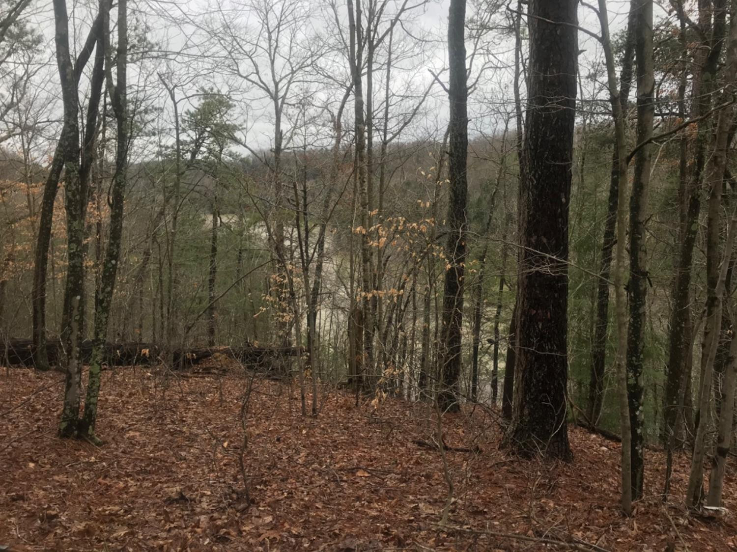 999 Laurel Cove Road London, KY 40741 - Photo 8 of 15 Photo 8