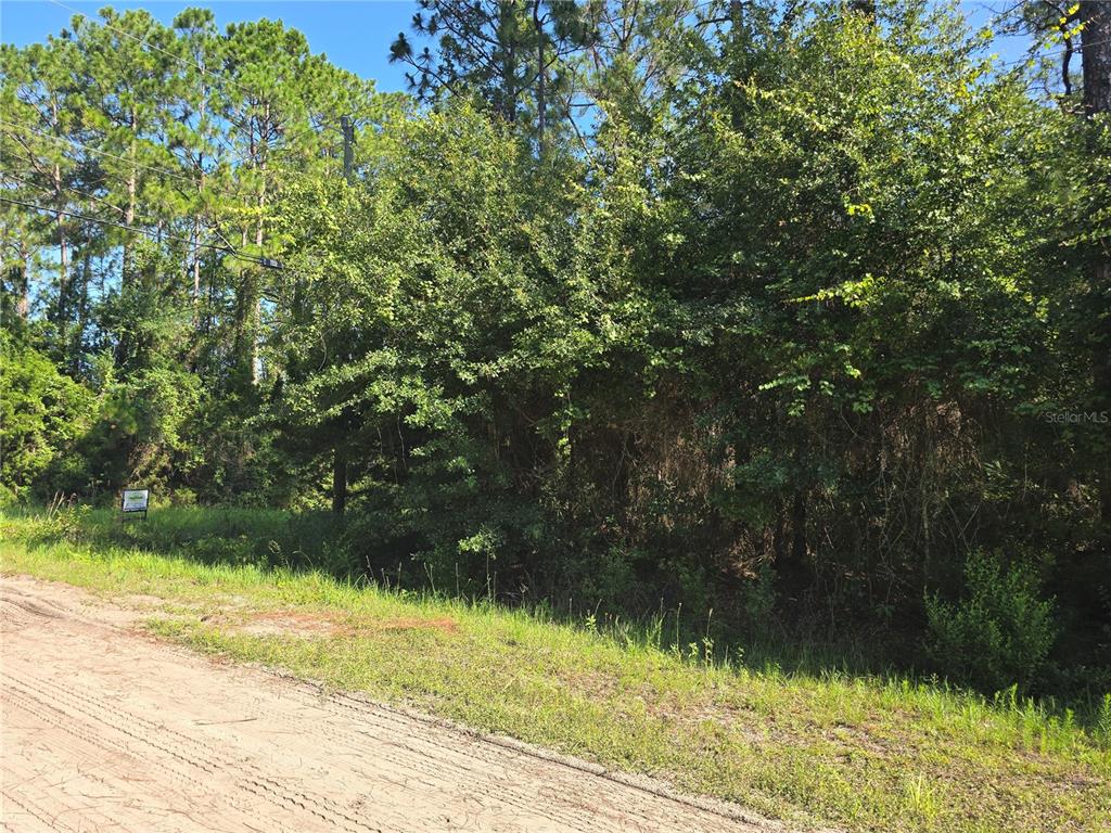 5446 Mango Avenue Bunnell, FL 32110 - Photo 17 of 17