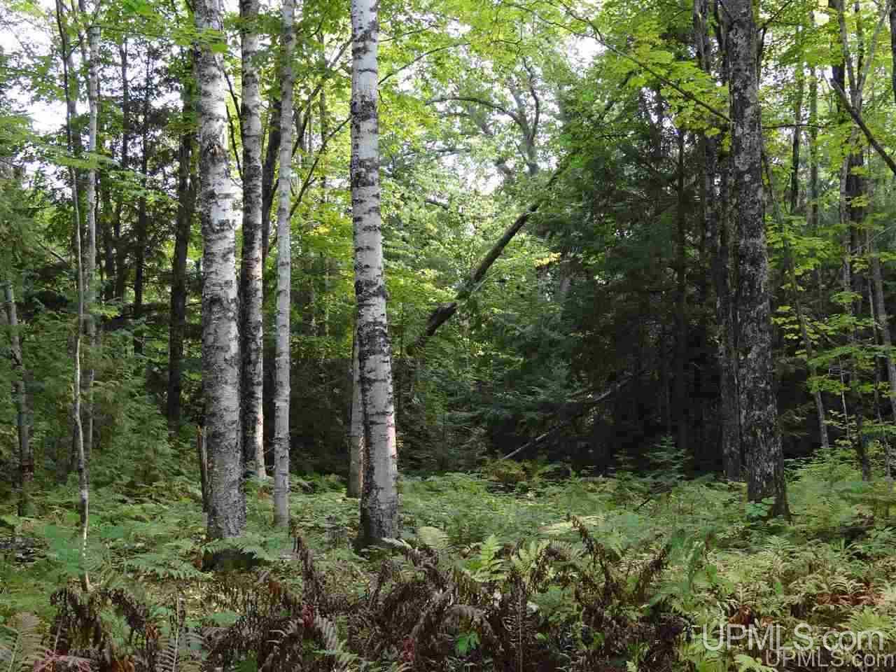 Tbd Freda Road, Unit PARCEL F Atlantic Mine, MI 49905 - Photo 10 of 12