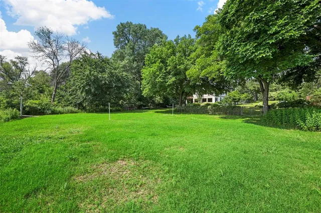 a view of a grassy field with trees
