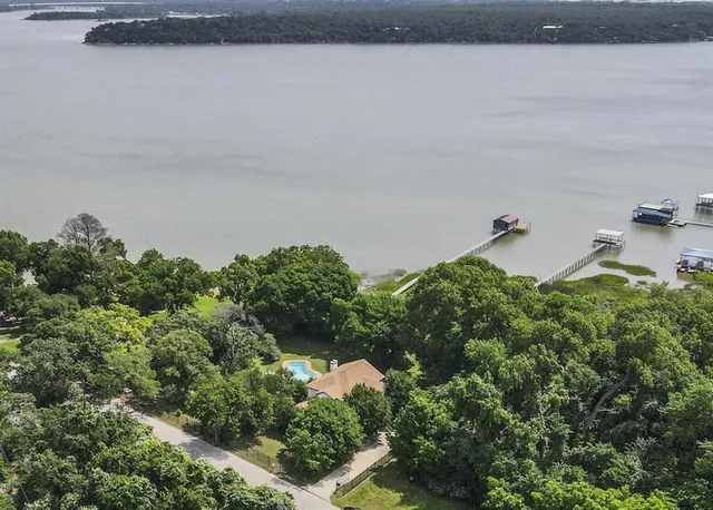 a close up of a plant in a garden