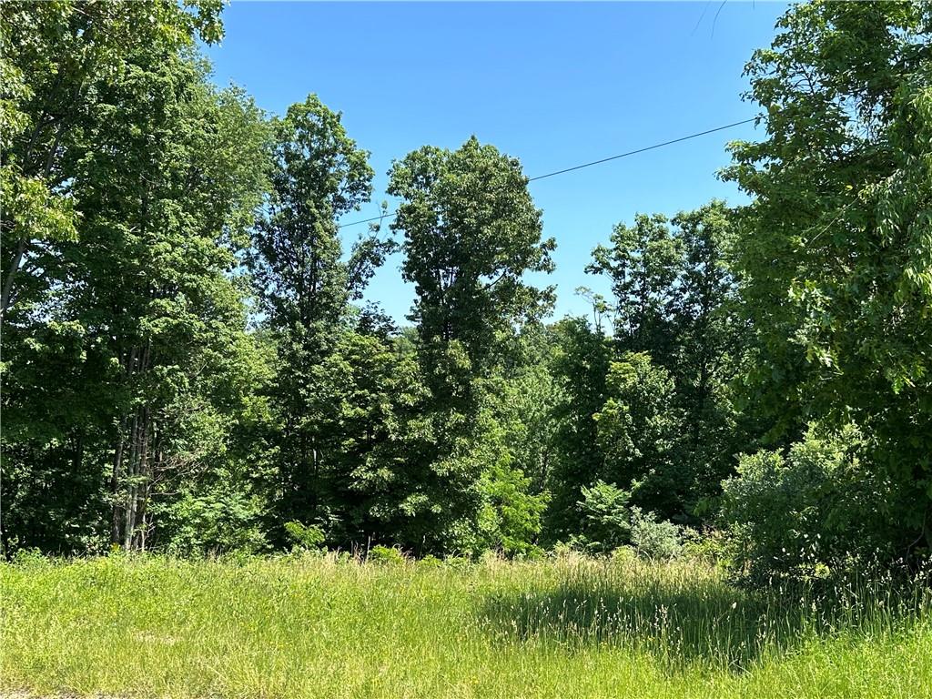 Remaining Lot 2 Ridge Road Apollo, PA 15613 - Photo 8 of 8 Gallery Image 8