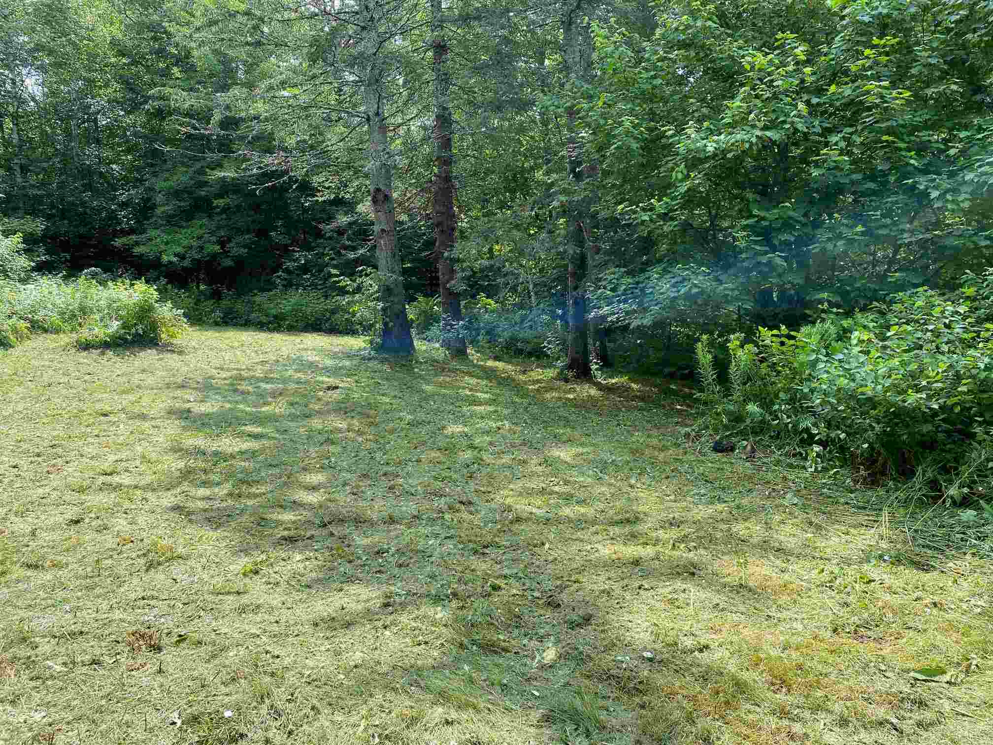 700 Young Farm Road Peacham, VT 05873 - Photo 1 of 7 Gallery Image 1