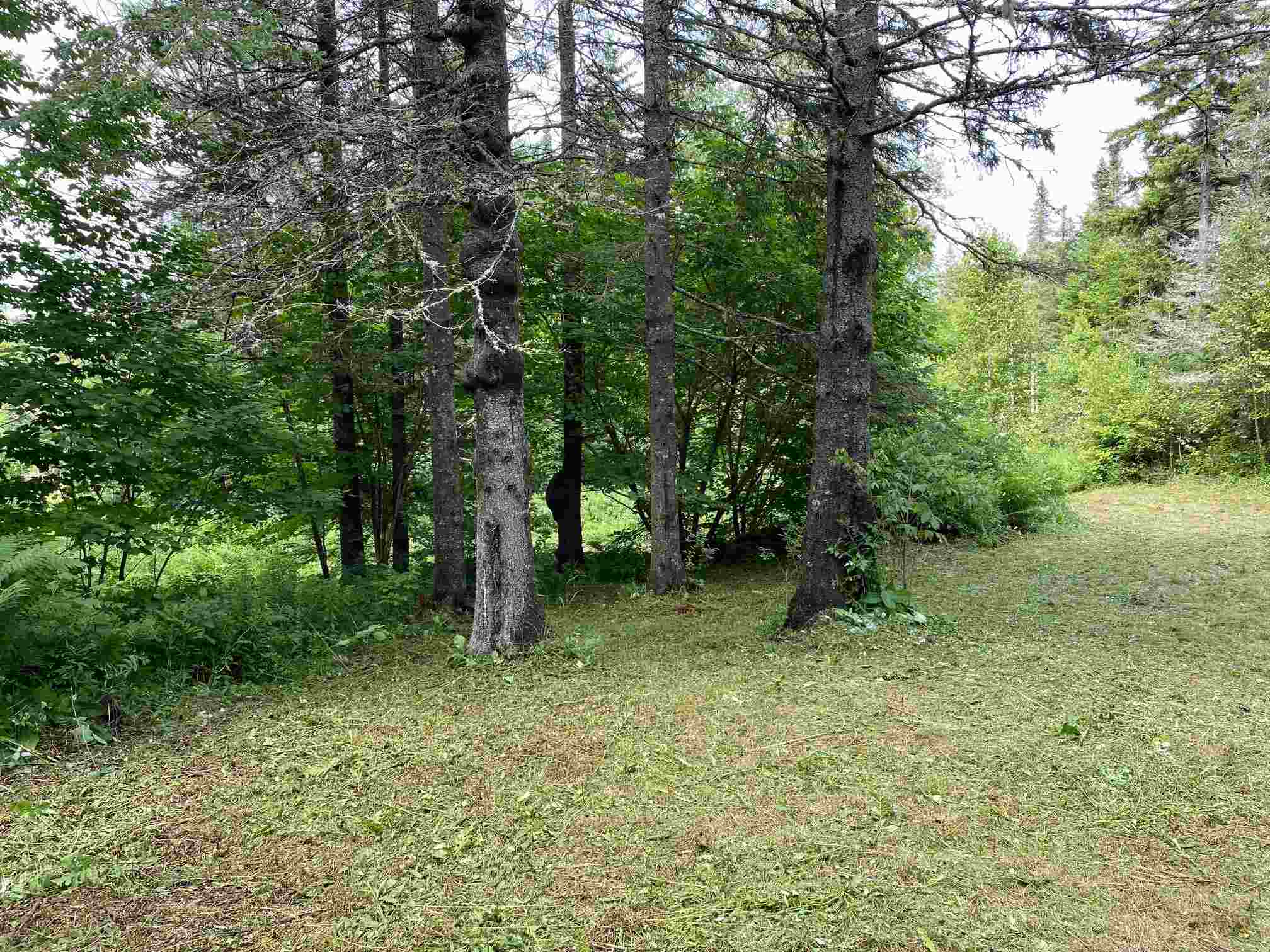 700 Young Farm Road Peacham, VT 05873 - Photo 3 of 7 Gallery Image 3