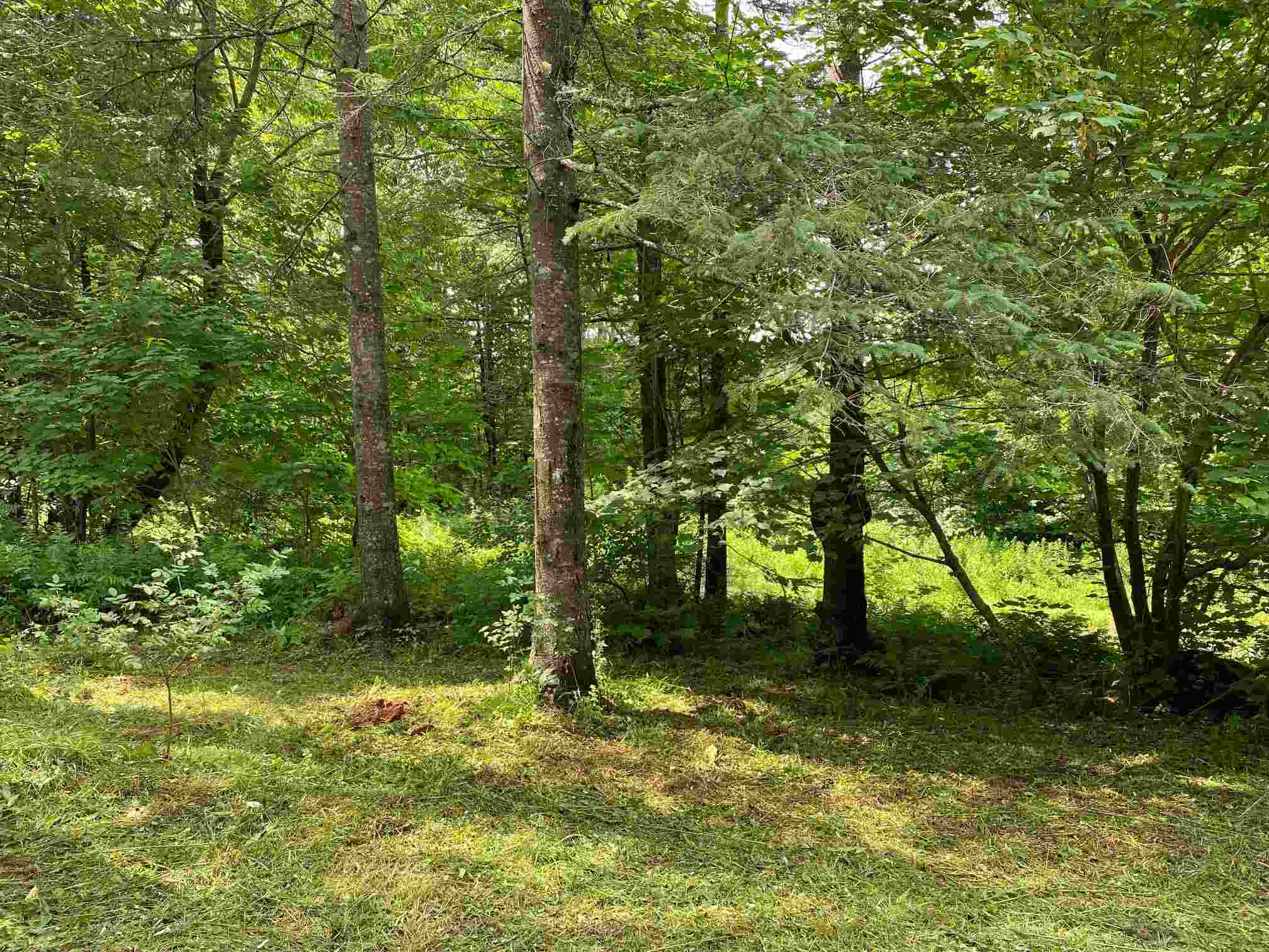 700 Young Farm Road Peacham, VT 05873 - Photo 4 of 7 Gallery Image 4