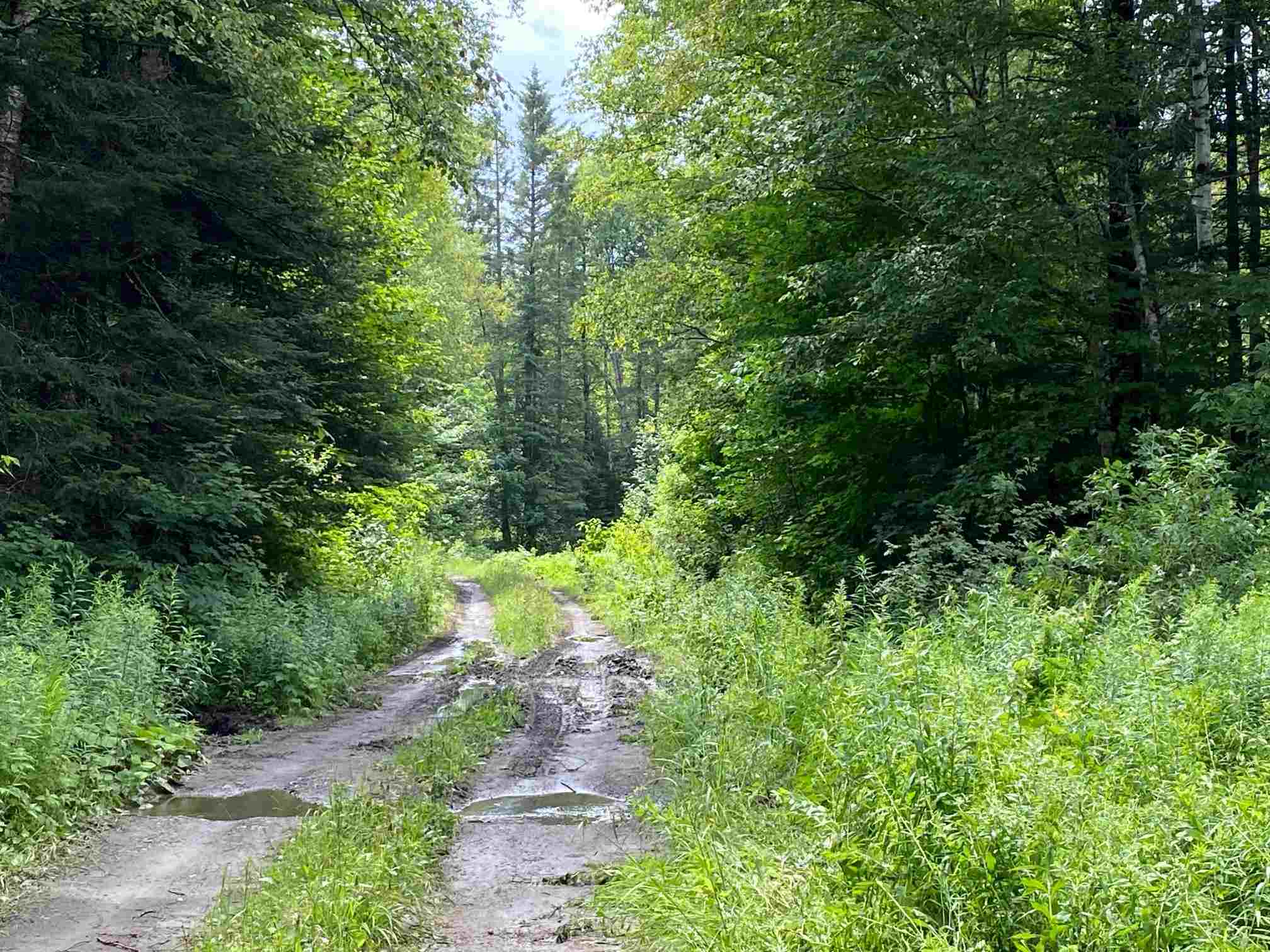 700 Young Farm Road Peacham, VT 05873 - Photo 7 of 7 Gallery Image 7